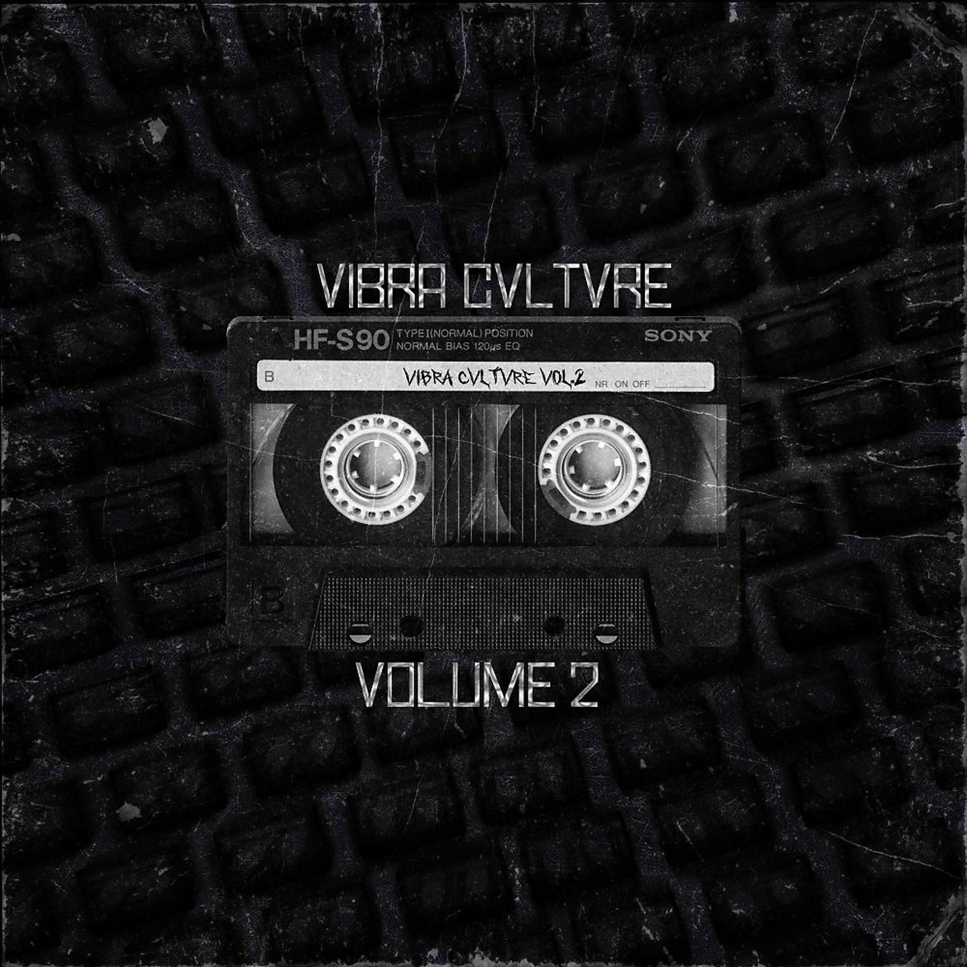 Постер альбома Vibra Cvltvre Vol. 2