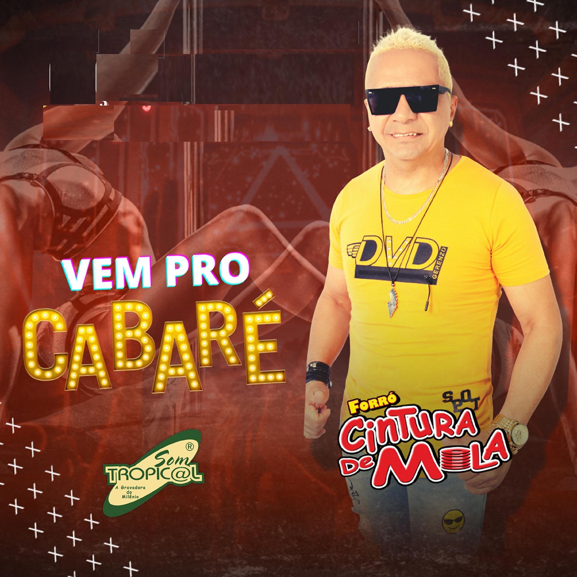 Постер альбома Vem pro Cabaré