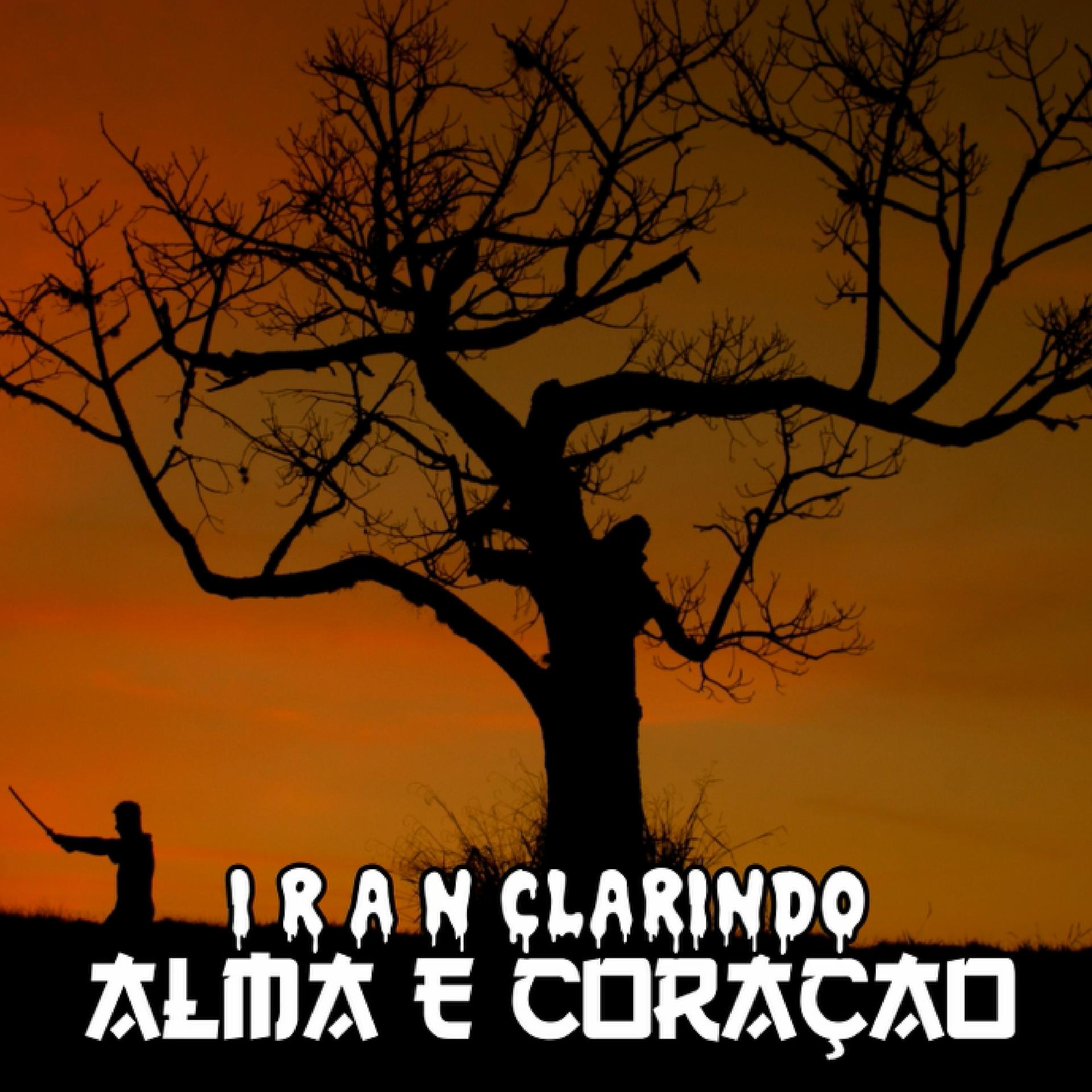 Постер альбома Alma e Coração
