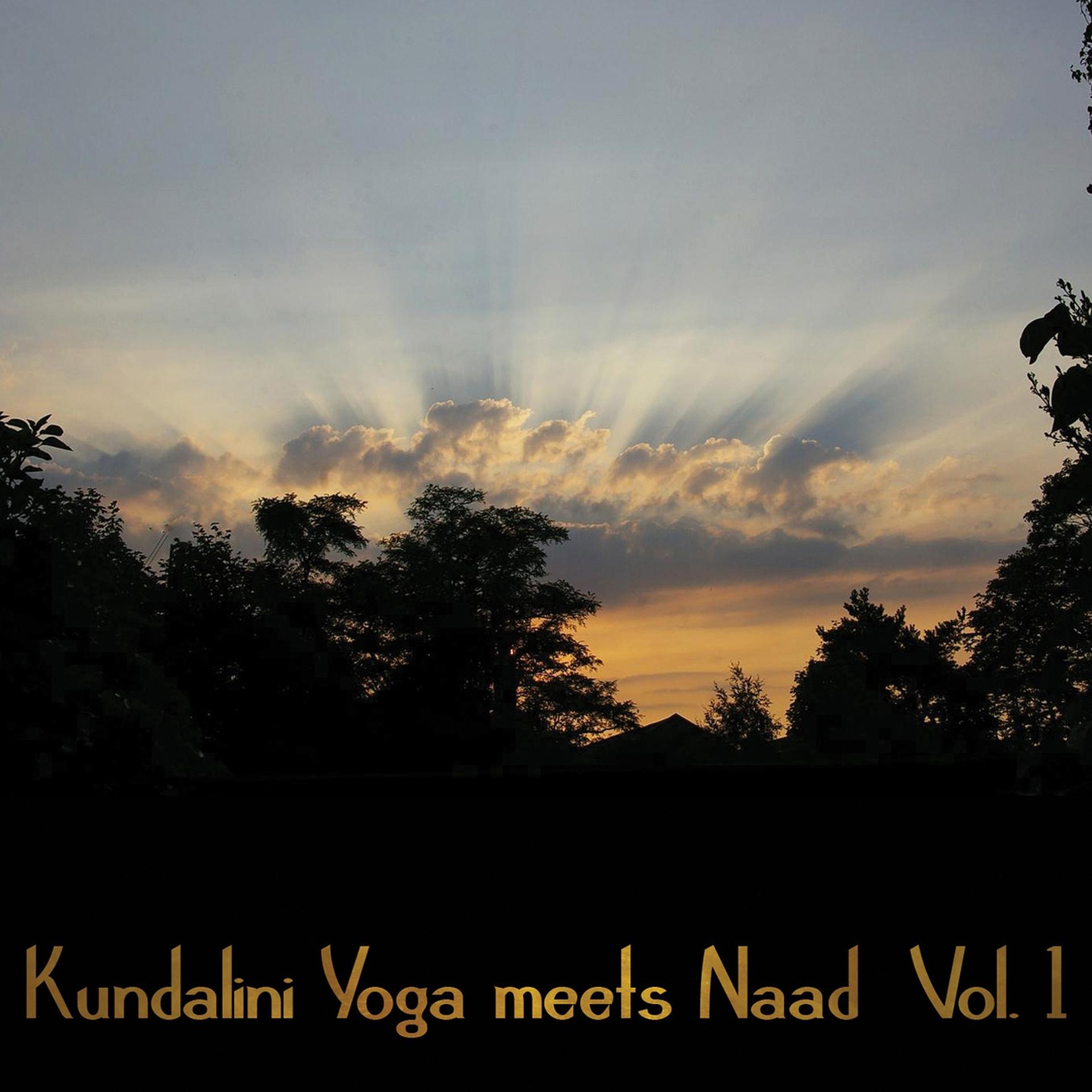 Постер альбома Kundalini Yoga Meets Naad, Vol. 1