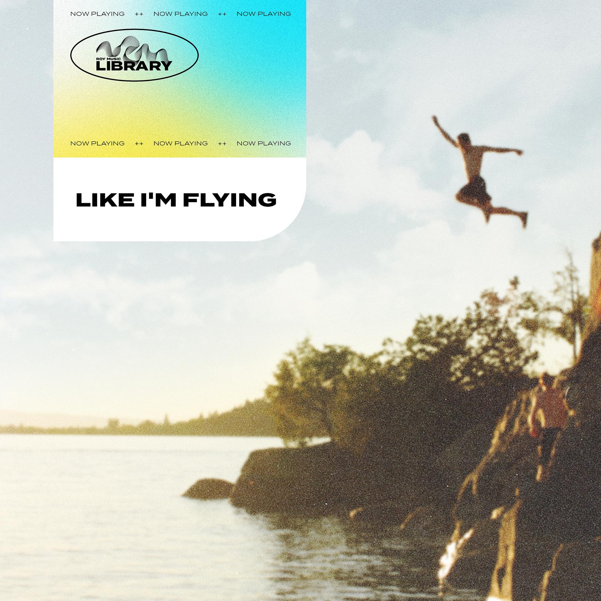 Постер альбома Roy Music Library - Like I'm Flying