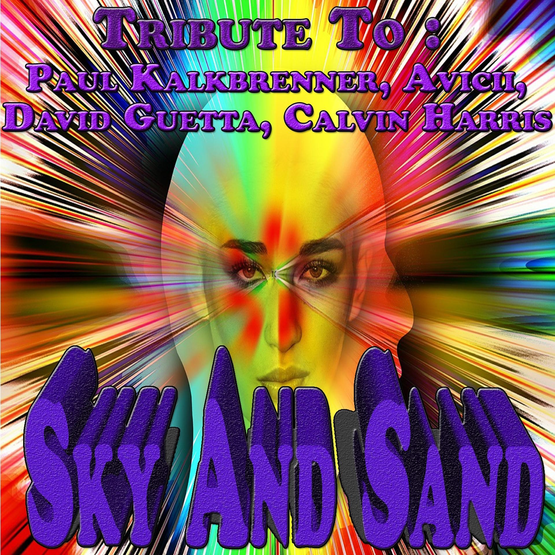 Постер альбома Sky and Sand: Tribute to Paul Kalkbrenner, Avicii, David Guetta, Calvin Harris