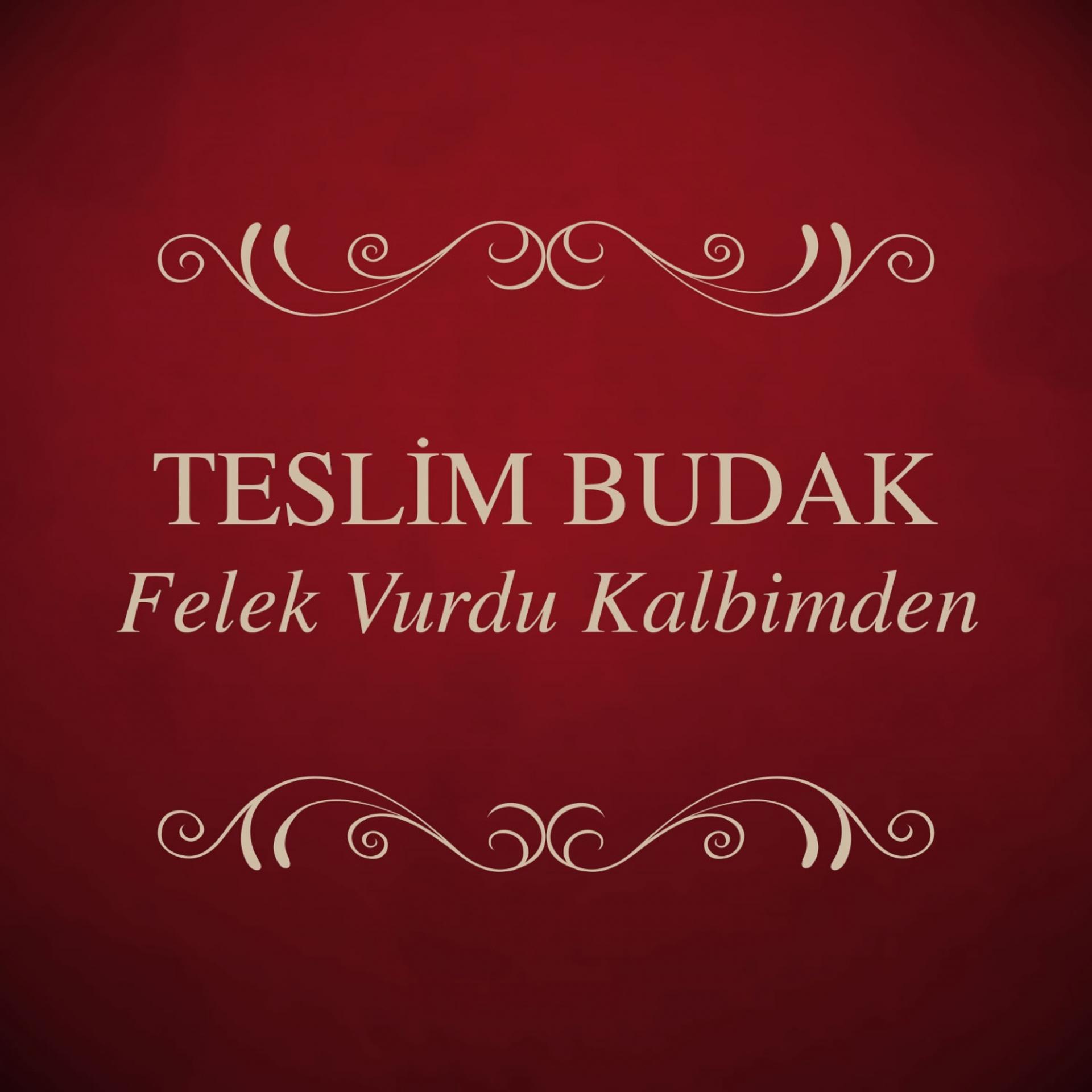 Постер альбома Felek Vurdu Kalbimden