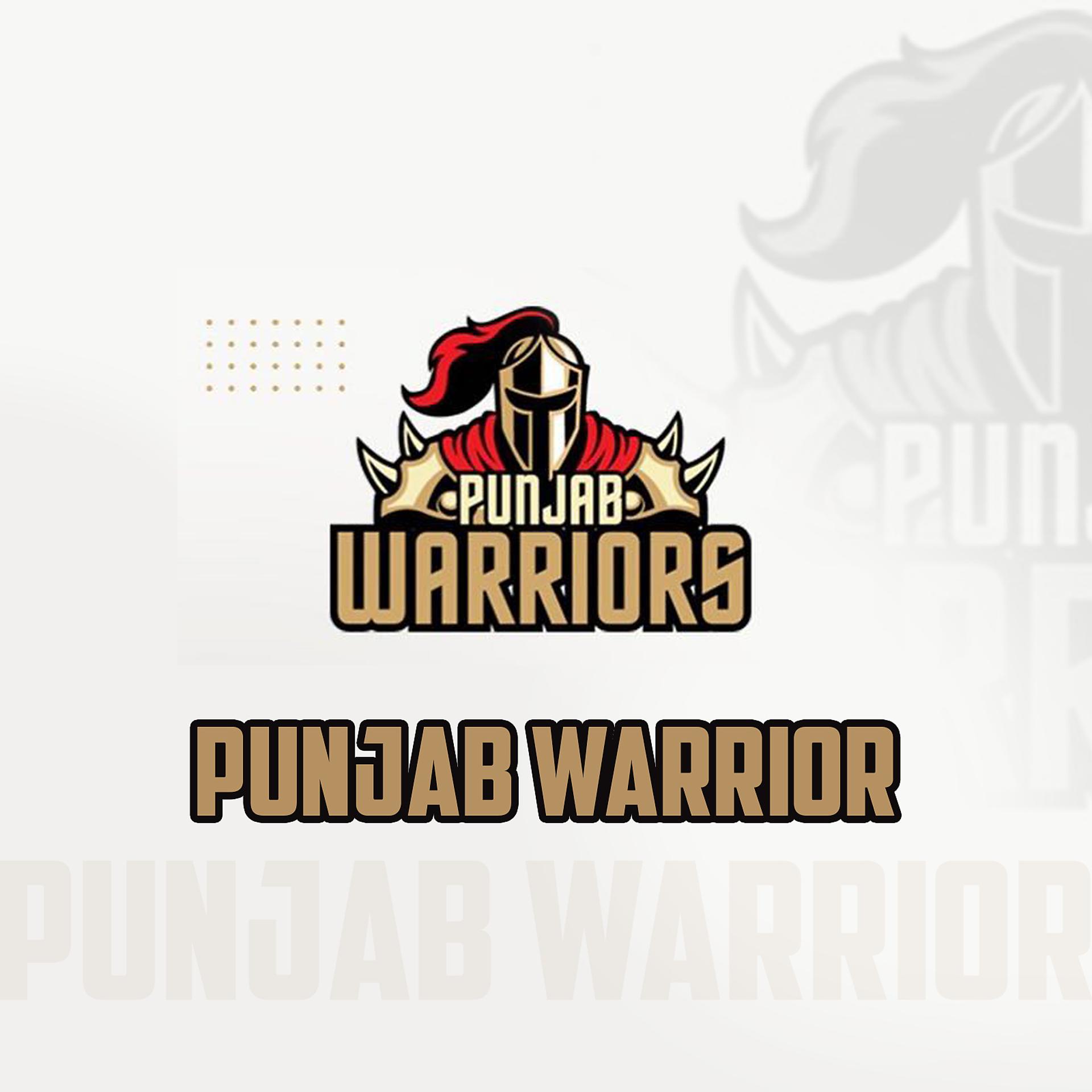 Постер альбома Punjab Warriors