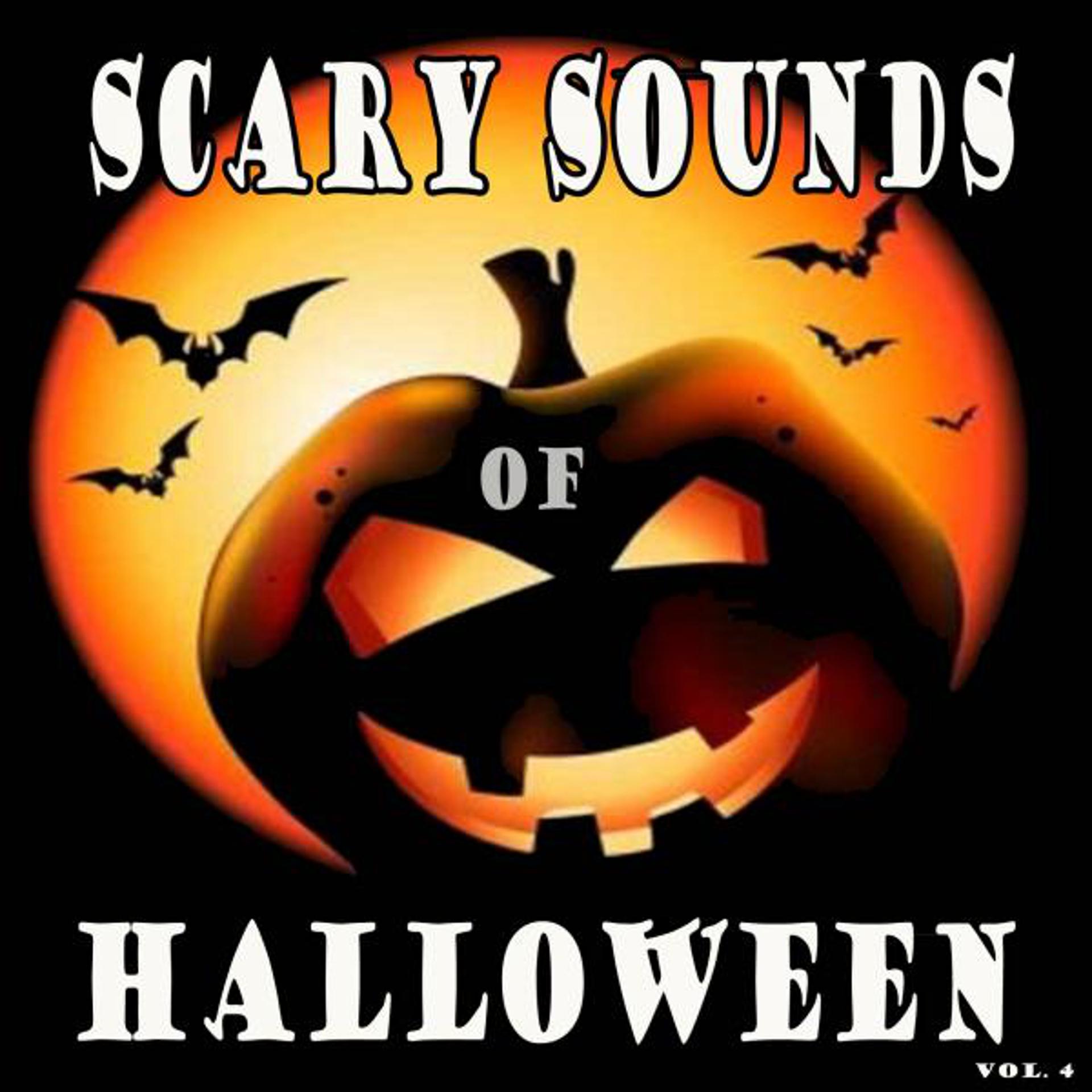 Постер альбома Scary Sounds of Halloween, Scary Halloween Sounds, Vol. 4