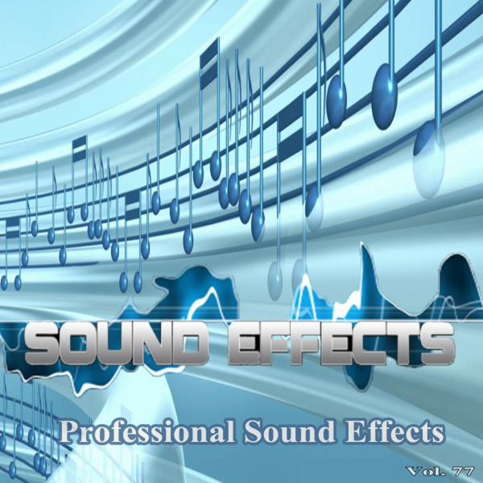 Постер альбома Professional Sound Effects, Vol. 77