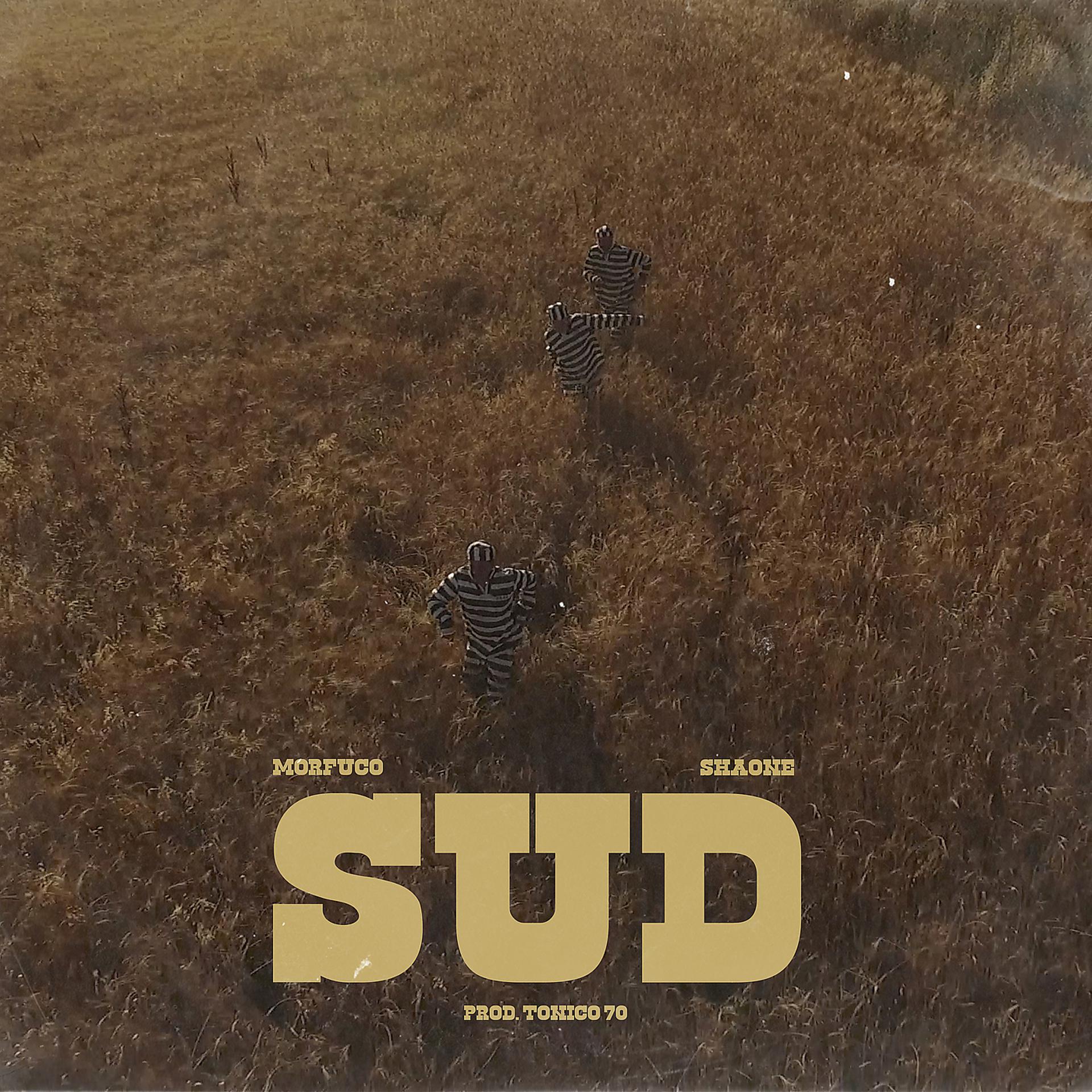 Постер альбома Sud