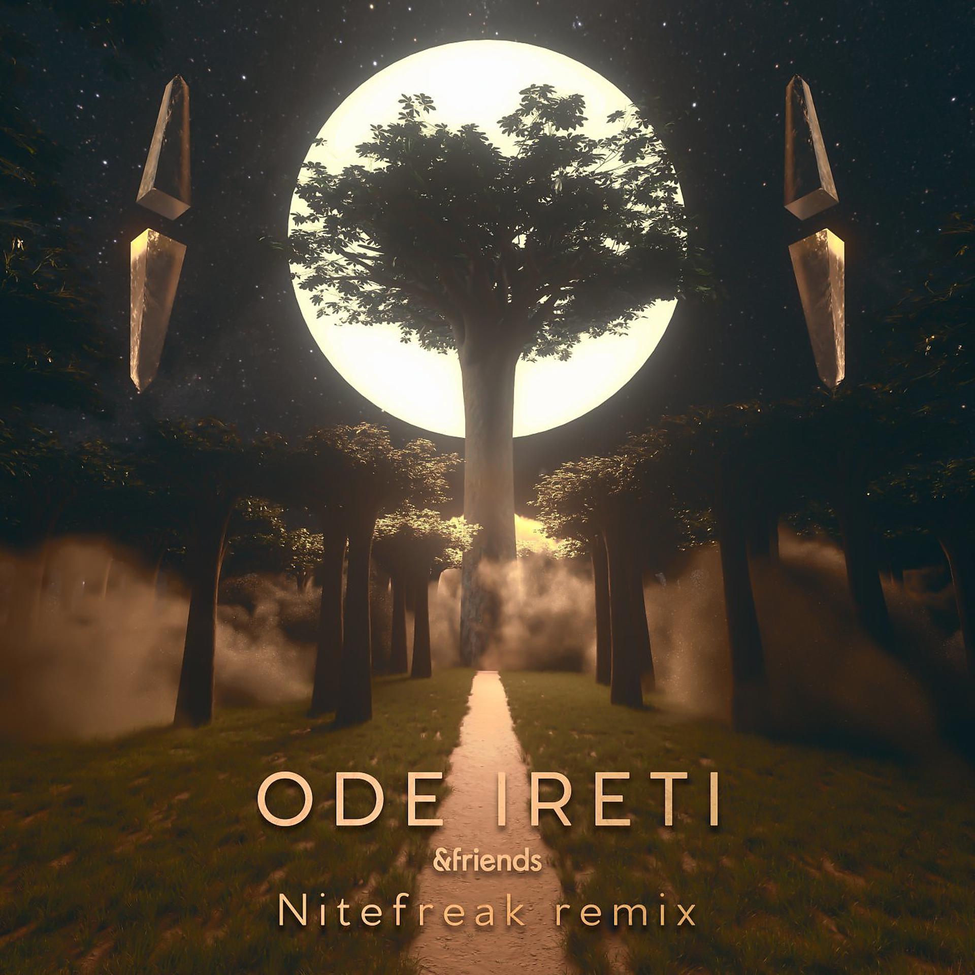 Постер альбома Ode Ireti (Nitefreak Remix)