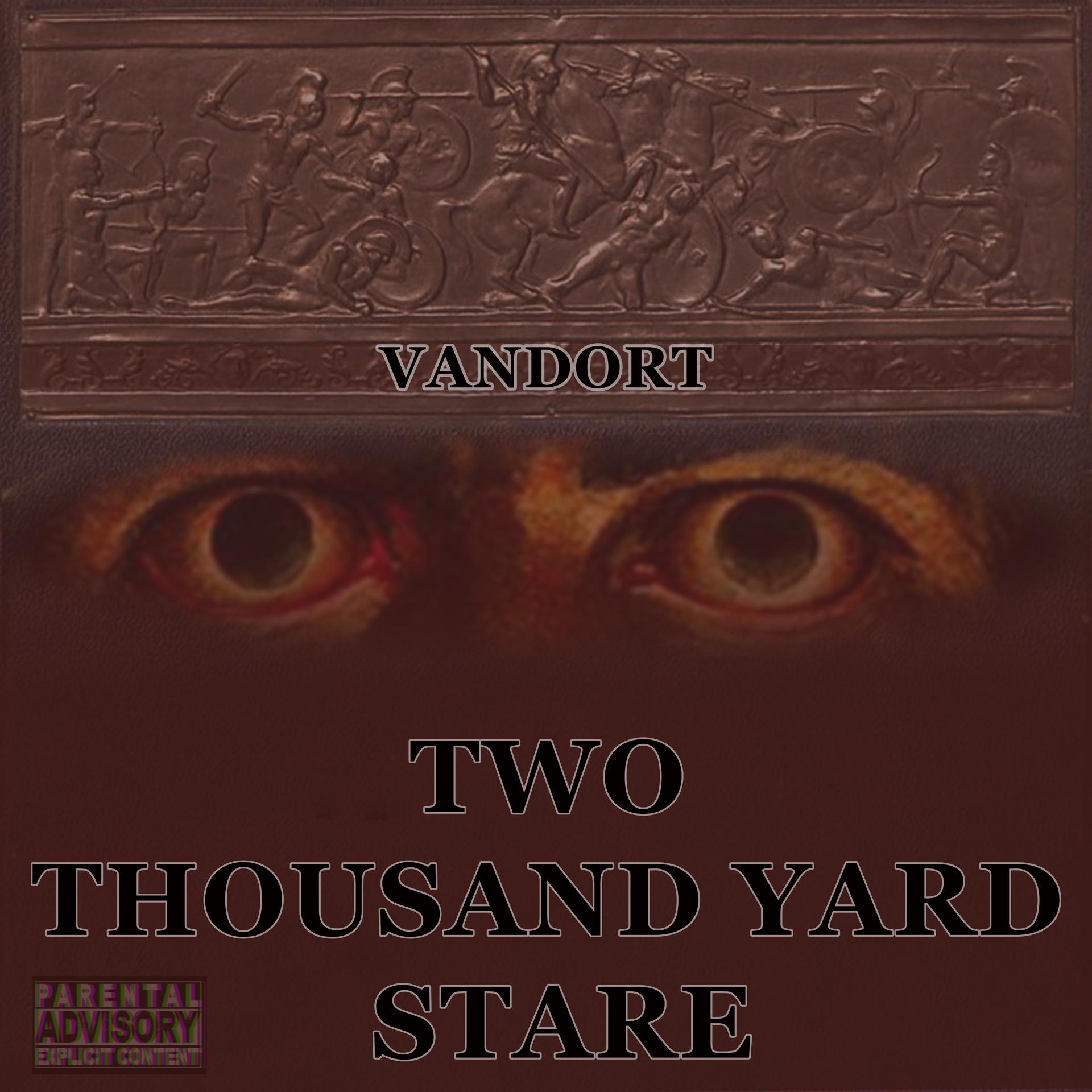 Постер альбома Two Thousand Yard Stare