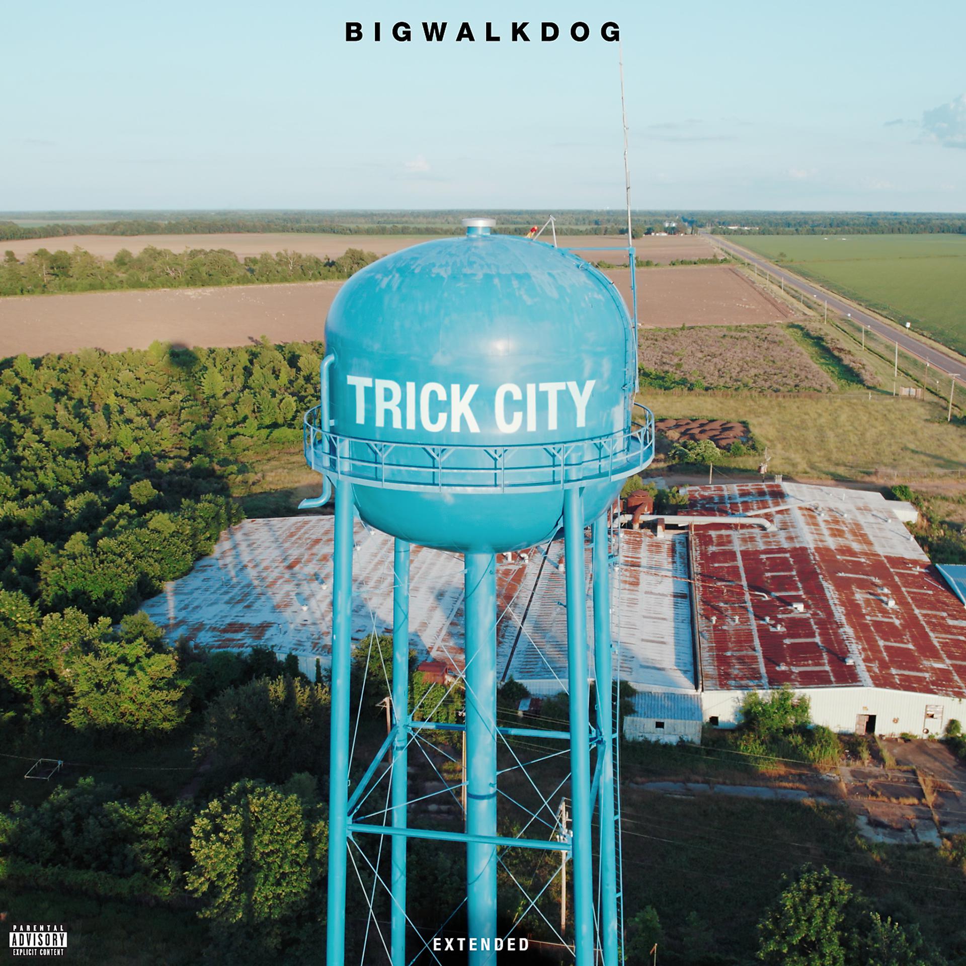 Постер альбома Trick City (Extended)