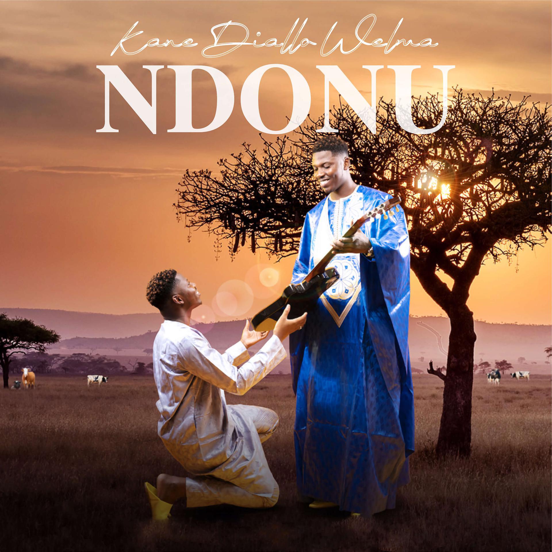 Постер альбома Ndonu