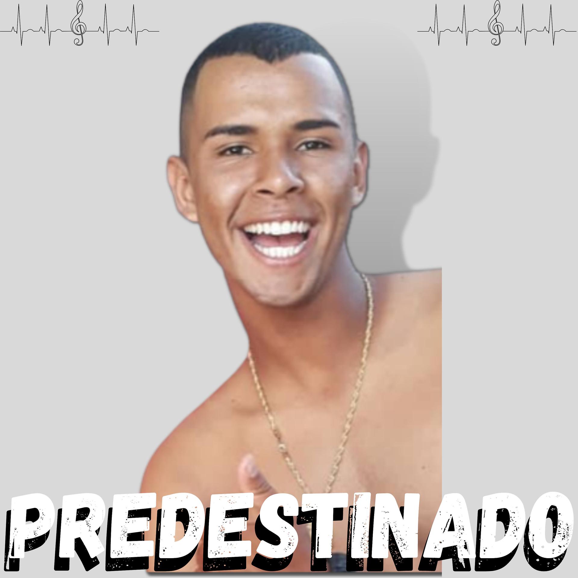 Постер альбома Predestinado