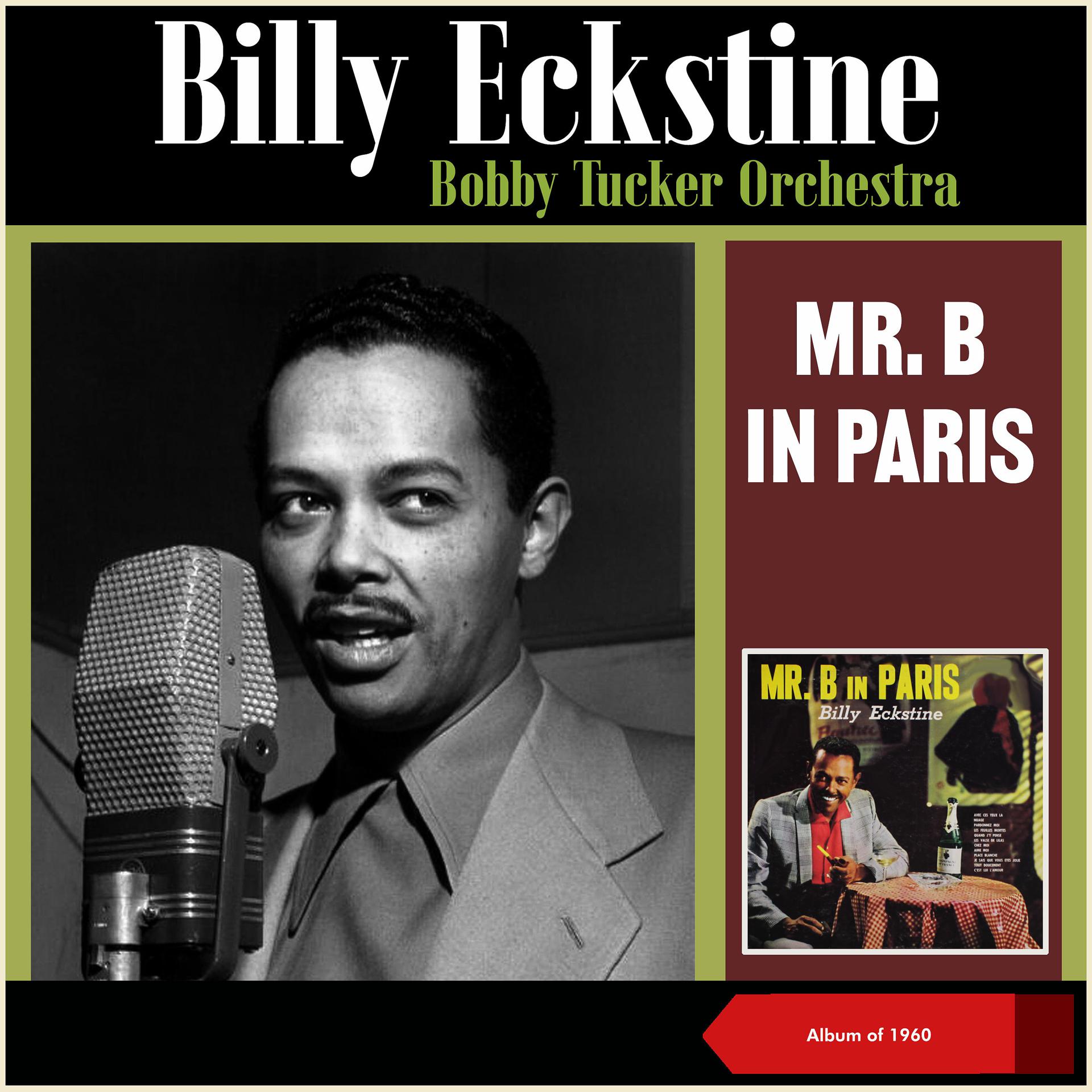 Постер альбома Mr B. in Paris