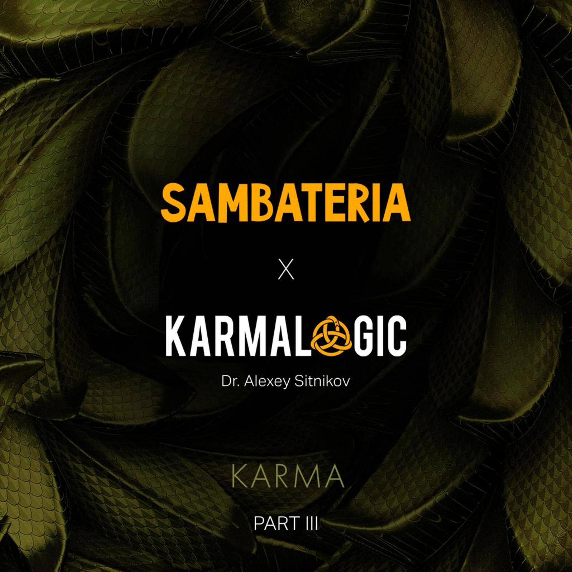 Постер альбома Karmalogic Karma (Part III)