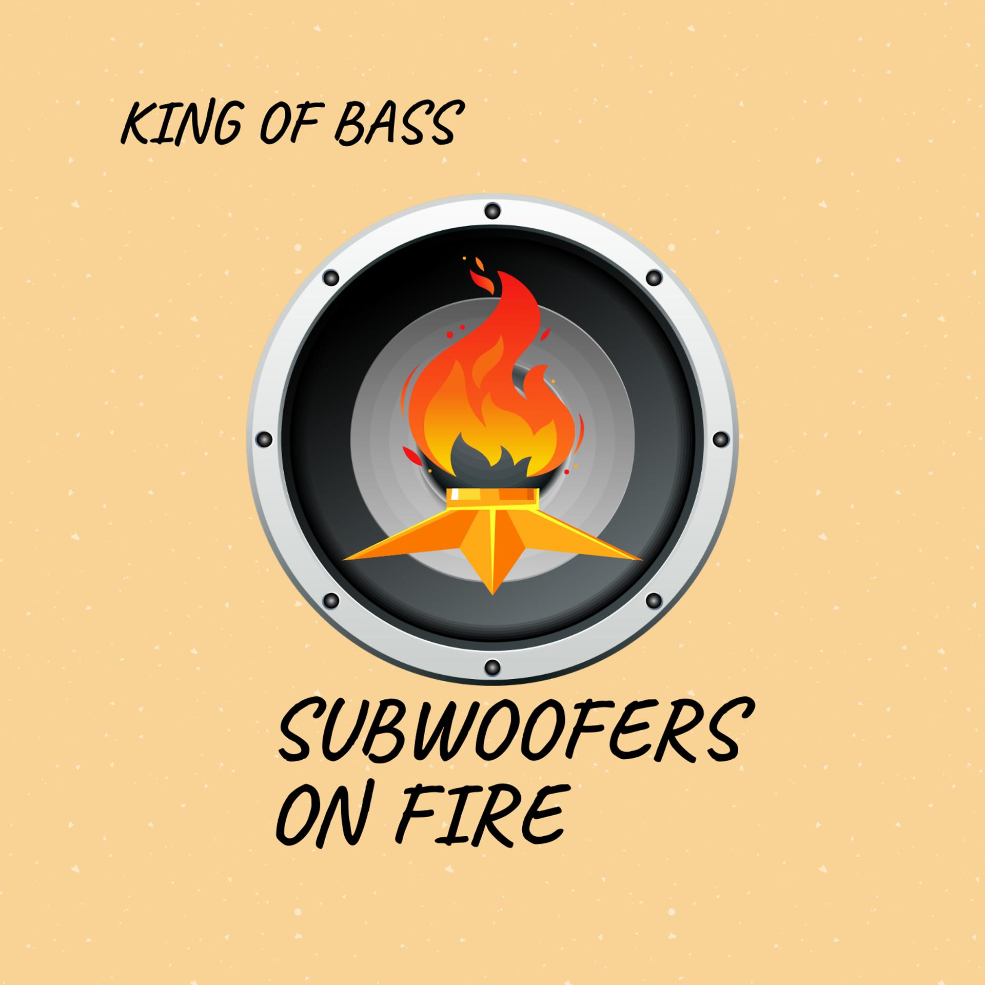 Постер альбома Subwoofers on Fire