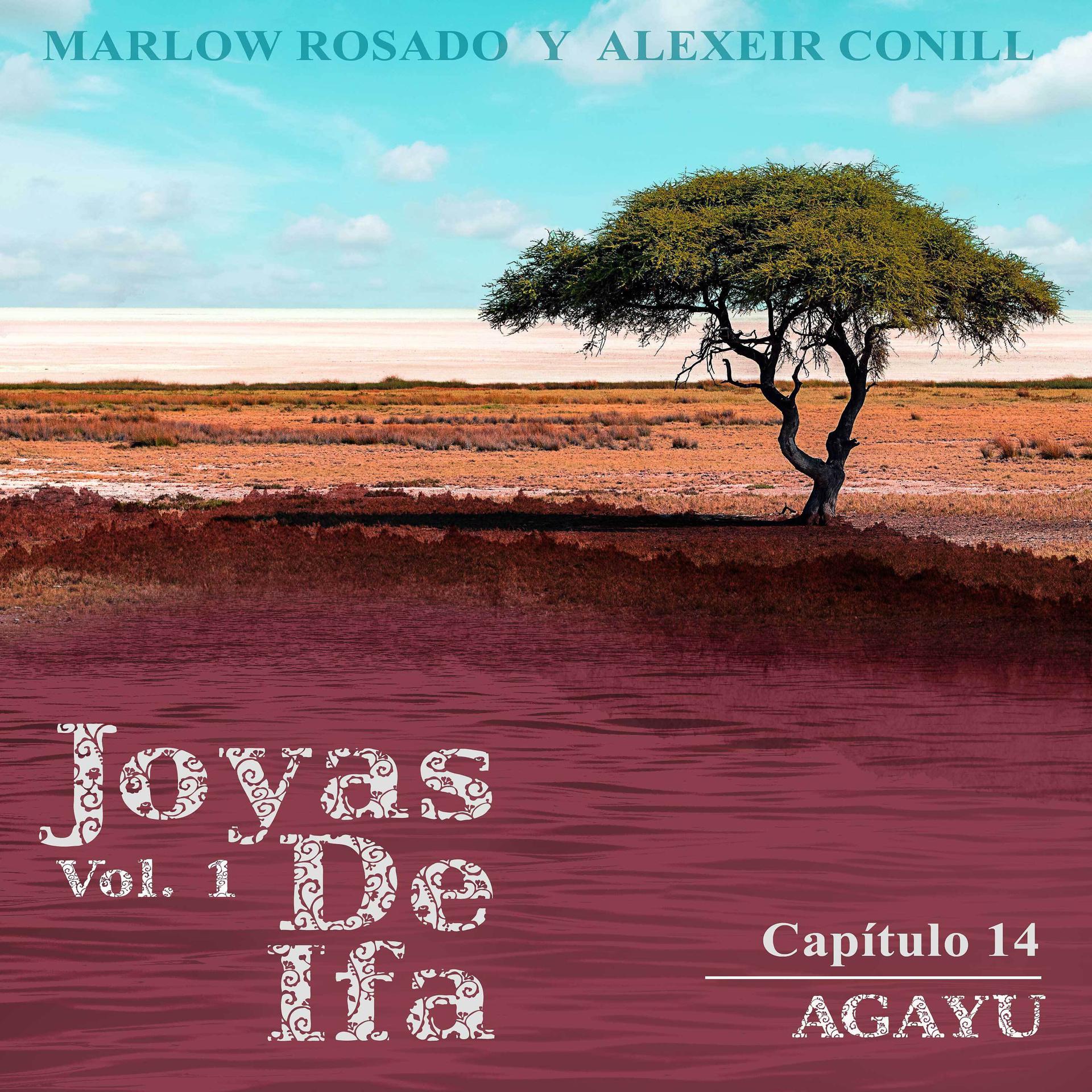 Постер альбома Agayu (Joyas de Ifa Vol. 1 Capitulo 14)