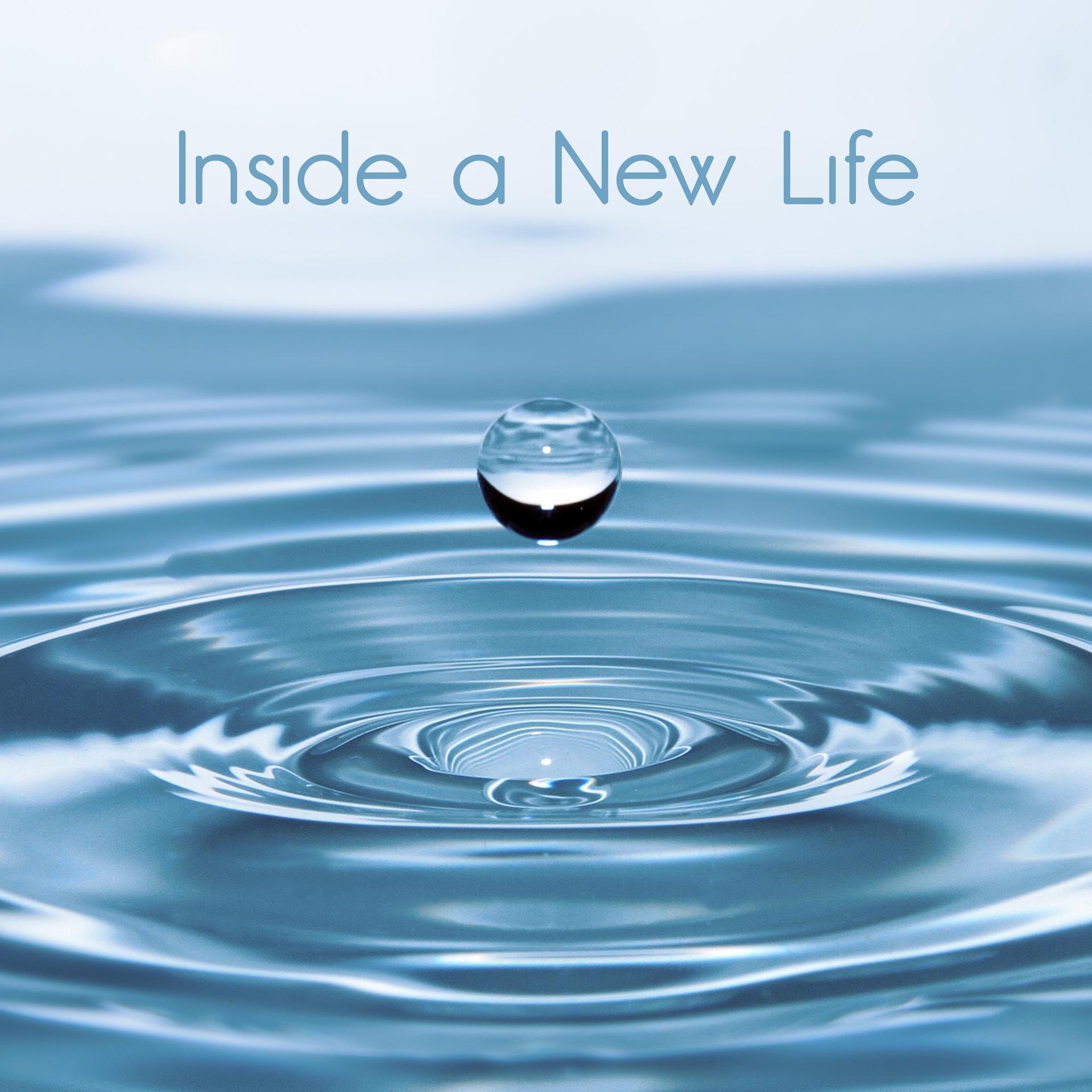 Постер альбома Inside a New Life