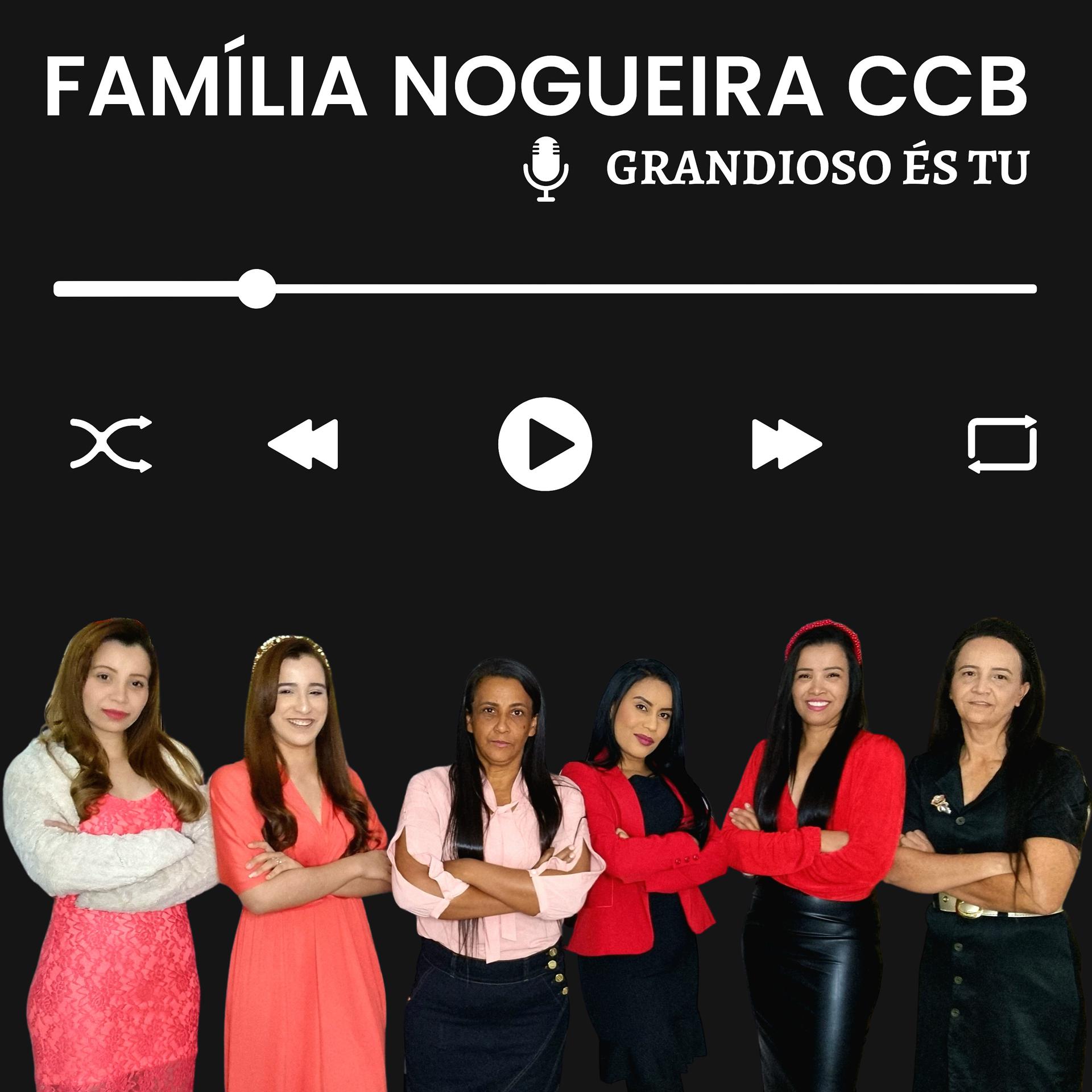 Постер альбома Família Nogueira: Grandioso És Tu, Vol. 14