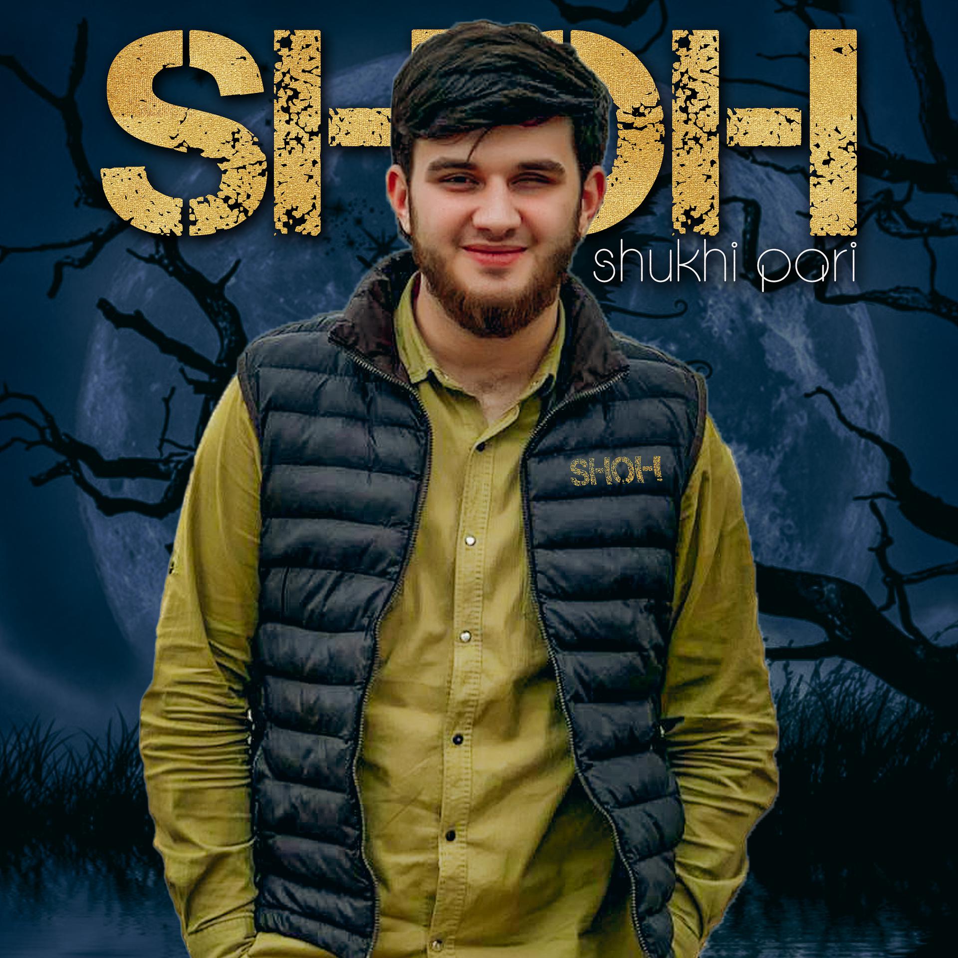 Постер альбома Shukhi Pari