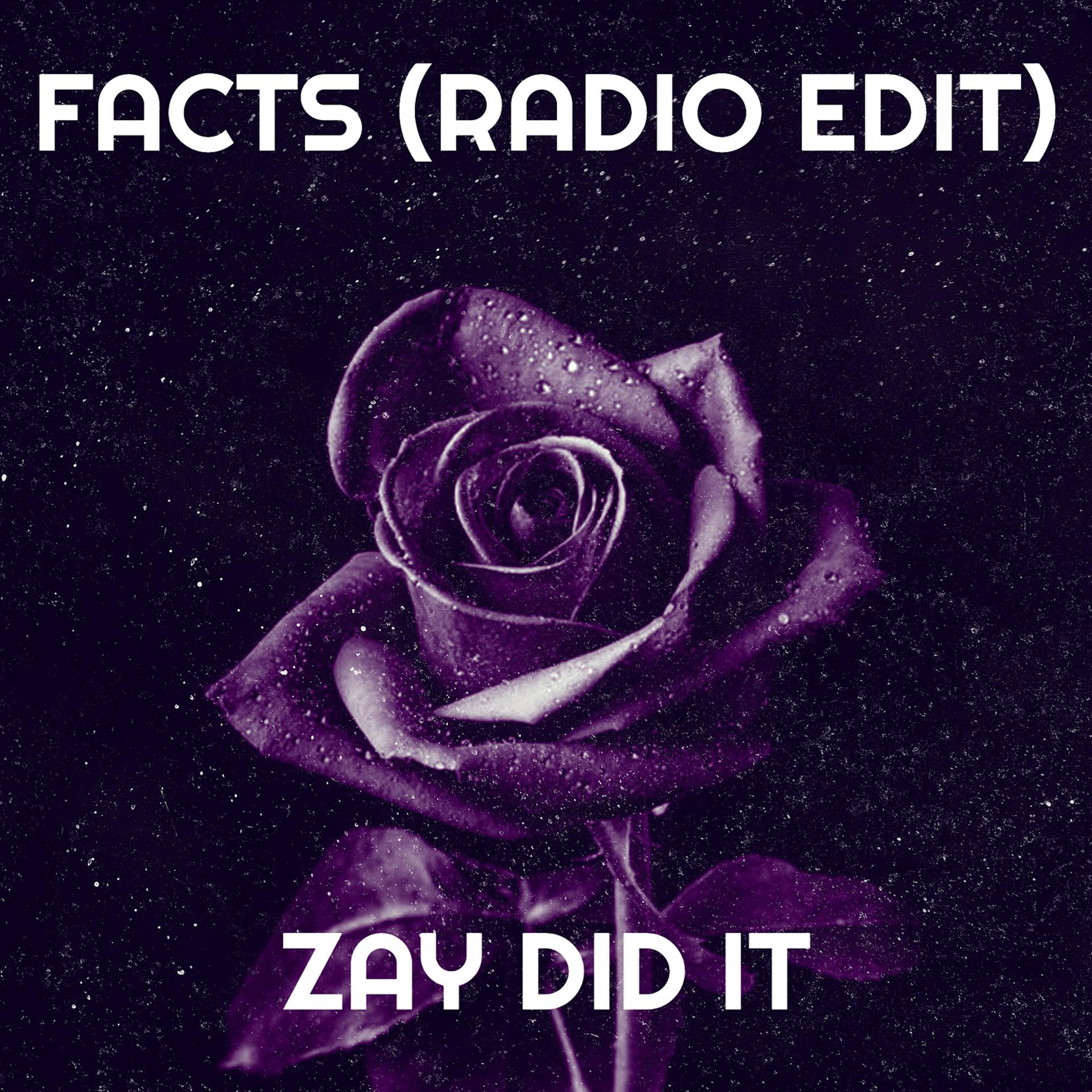 Постер альбома Facts (Radio Edit)