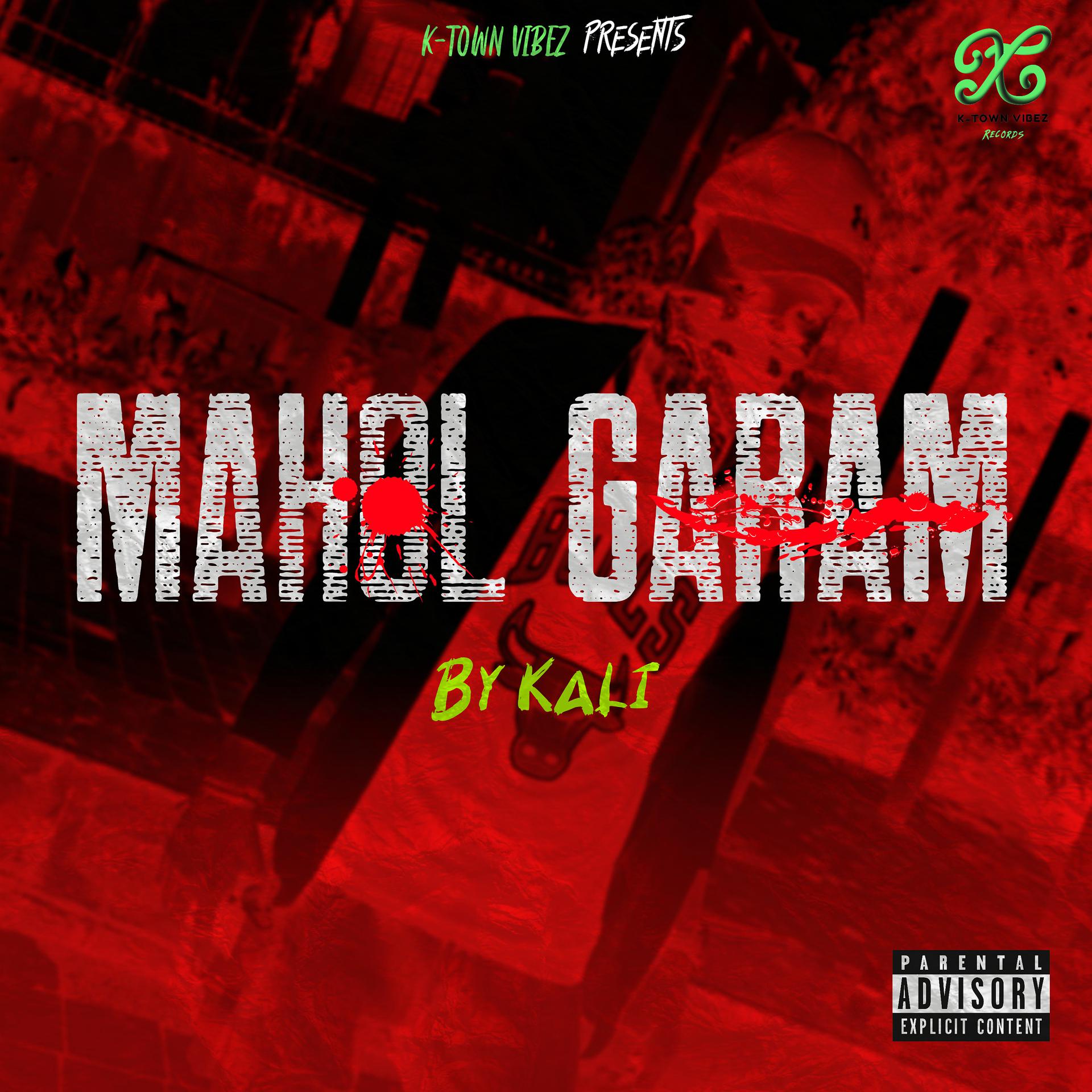 Постер альбома Mahol Garam