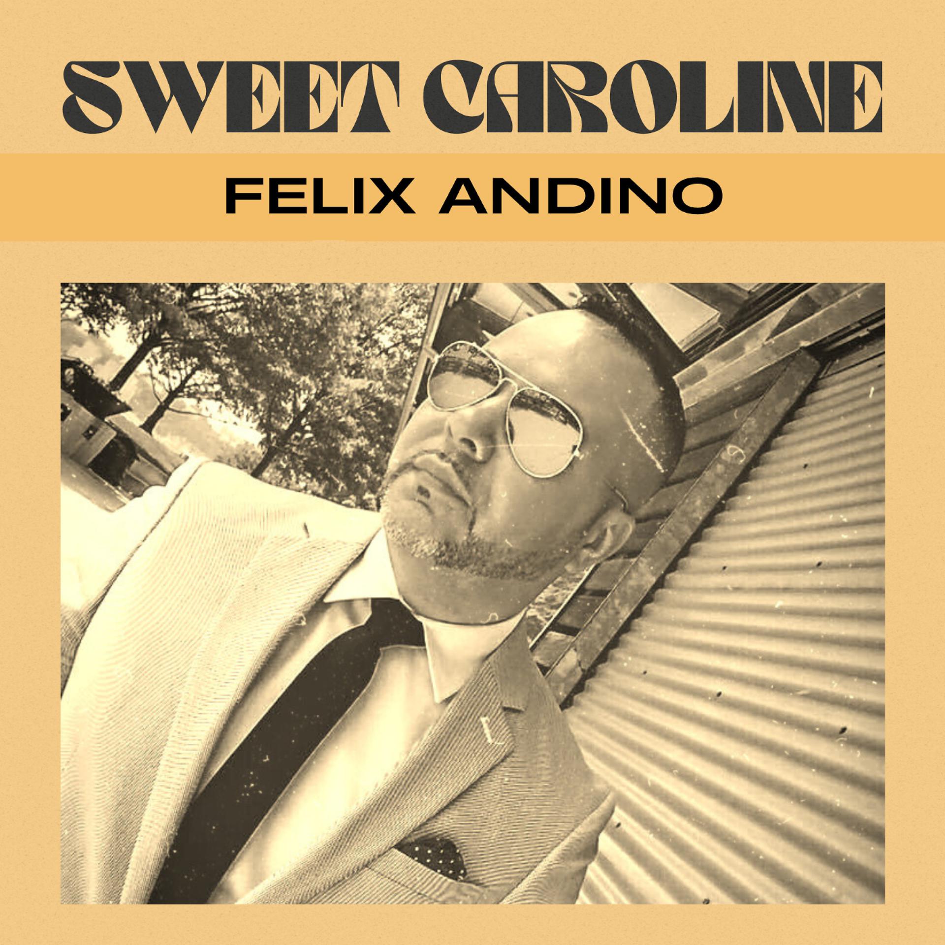 Постер альбома Sweet Caroline