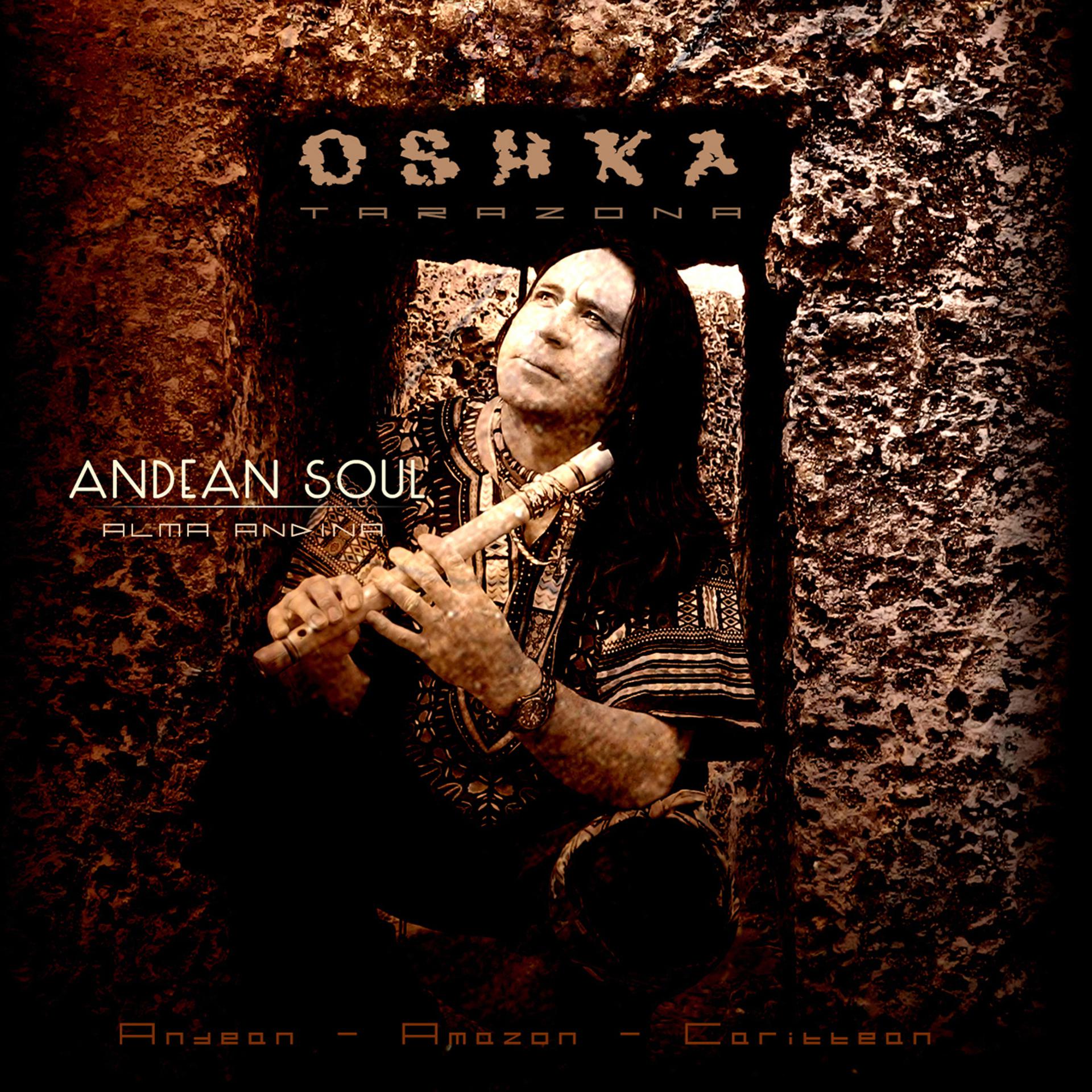 Постер альбома Andean Soul Alma Andina