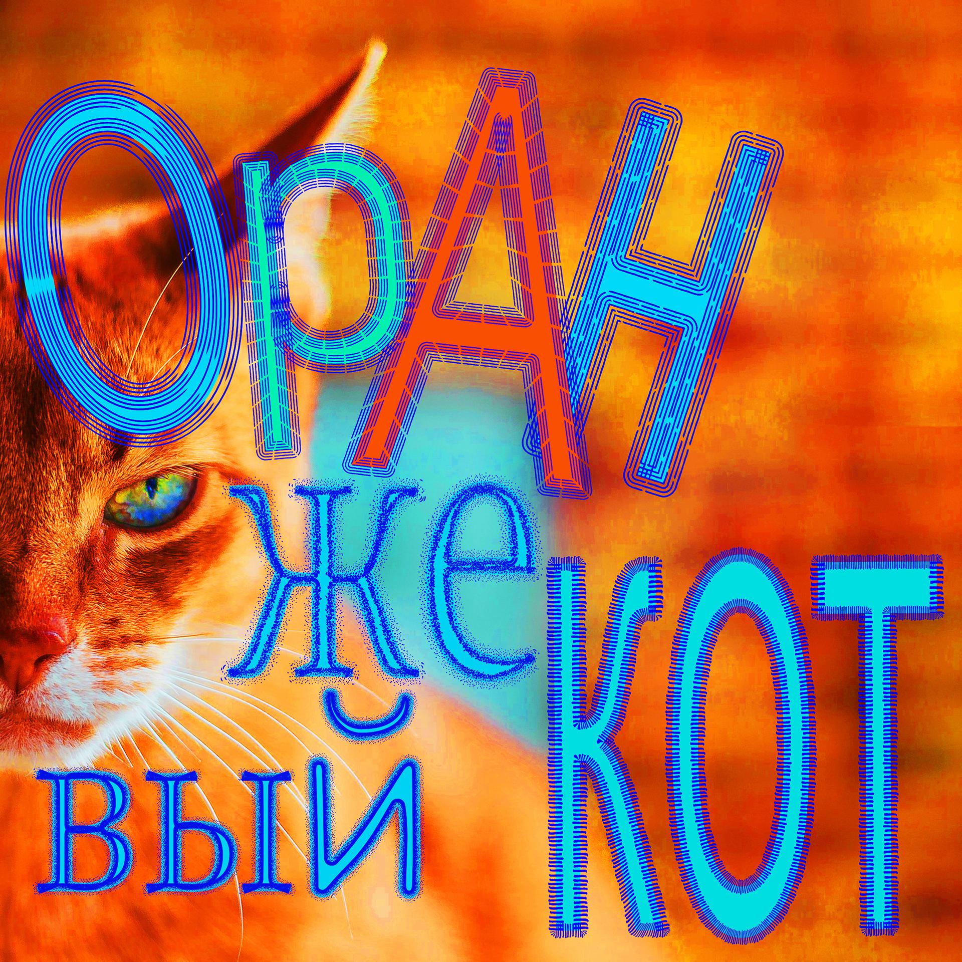 Постер альбома Оранжевый кот