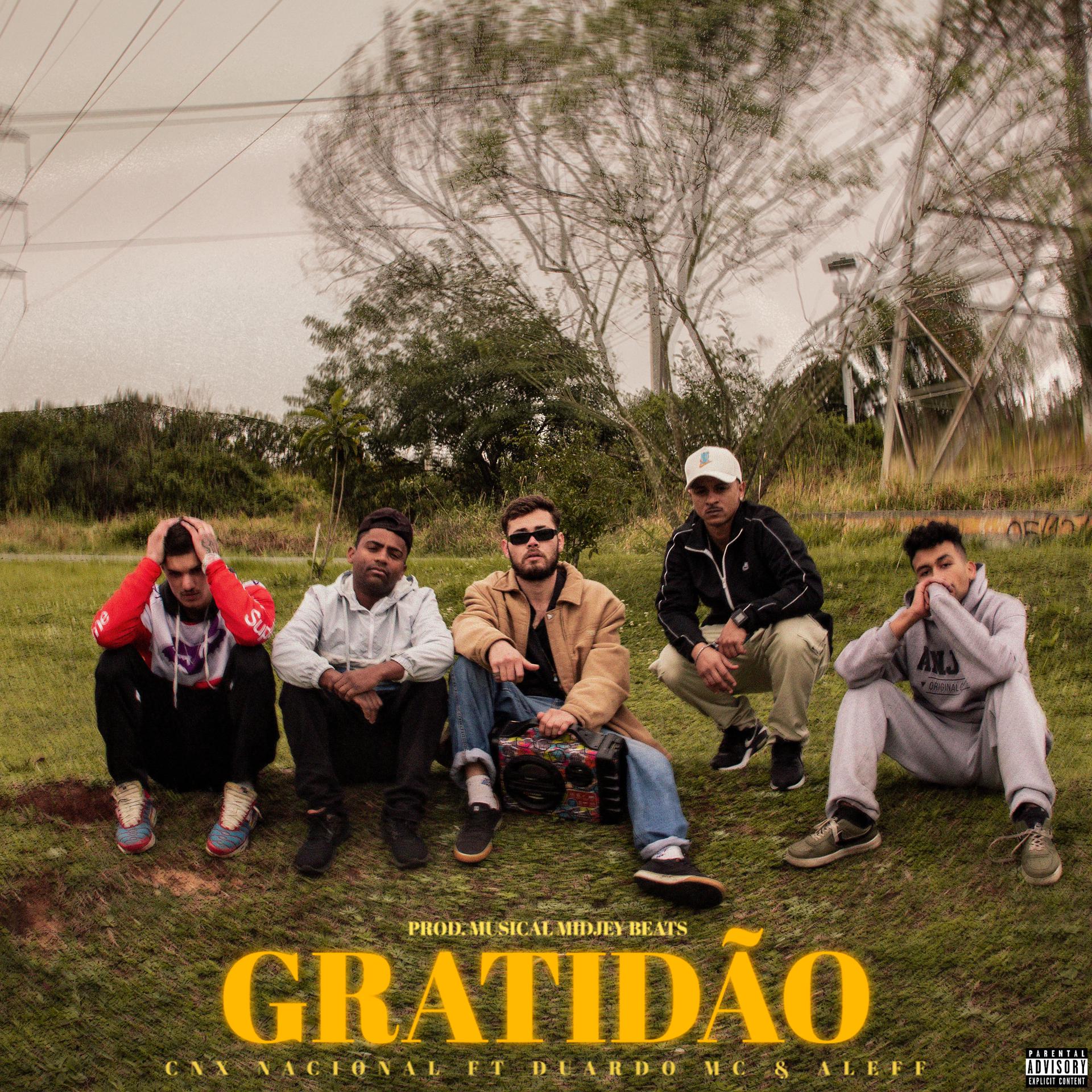 Постер альбома Gratidão