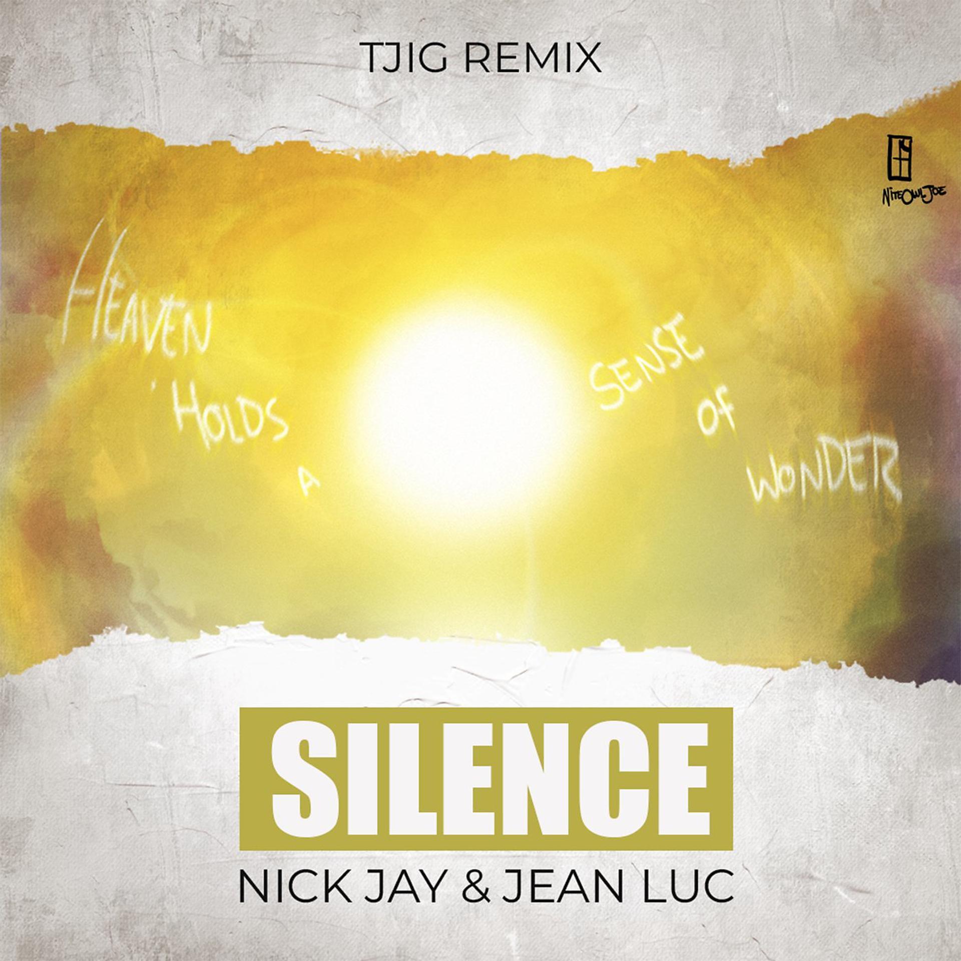 Постер альбома Silence (TJIG Remix)