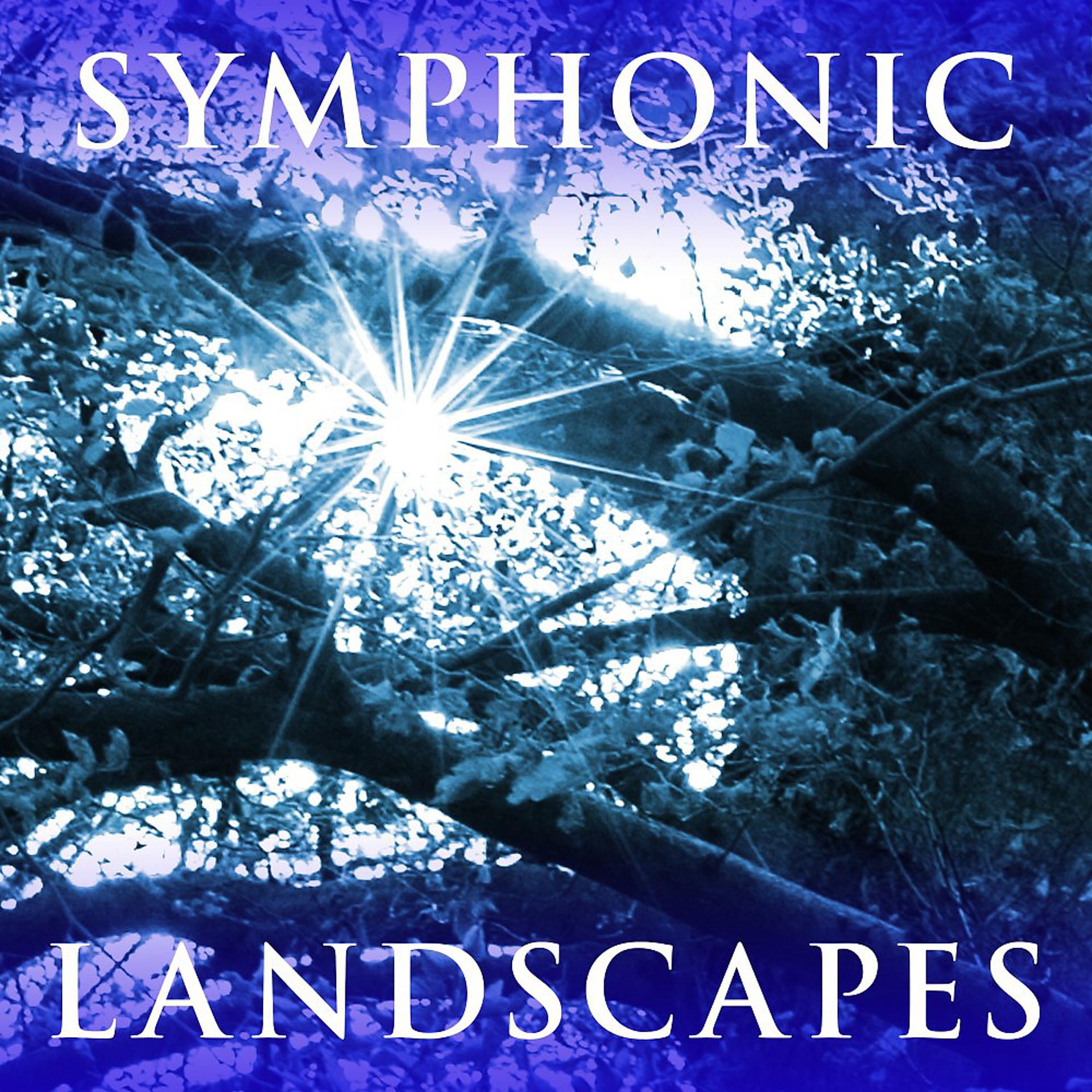 Постер альбома Symphonic Landscapes
