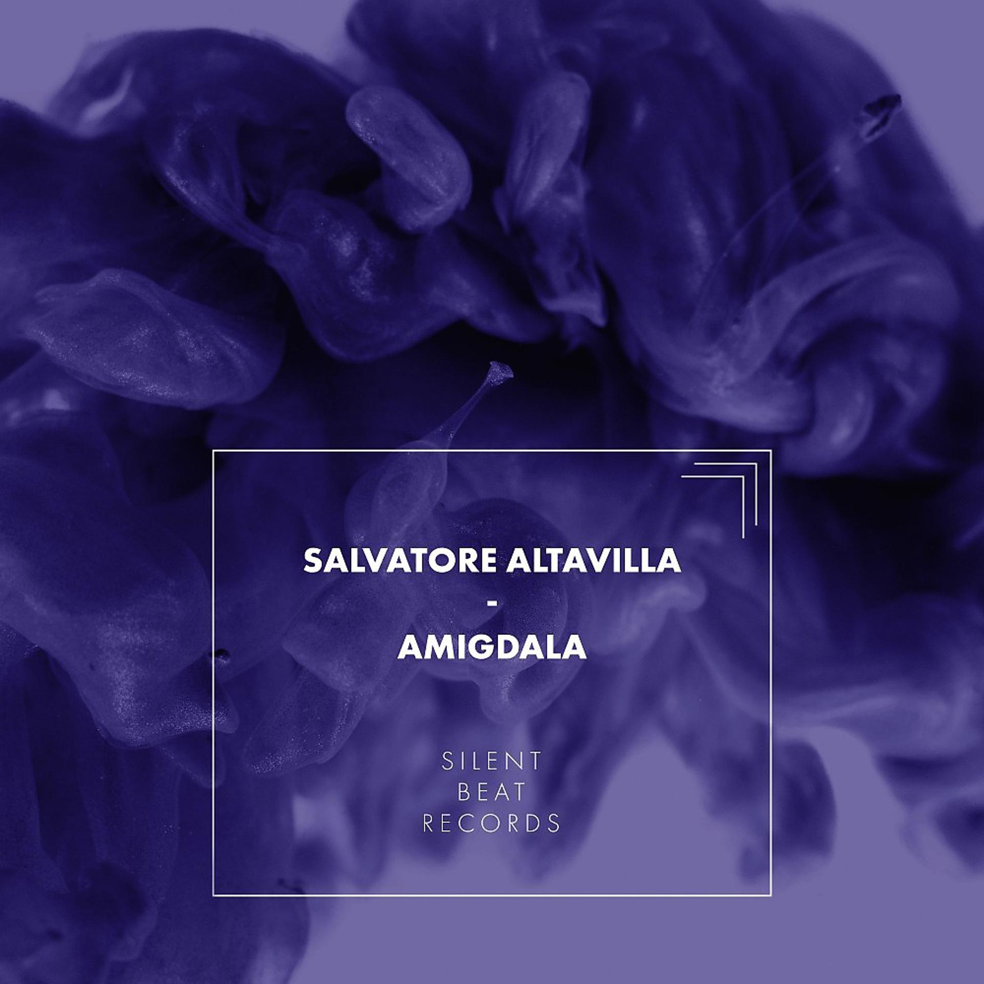 Постер альбома Amigdala