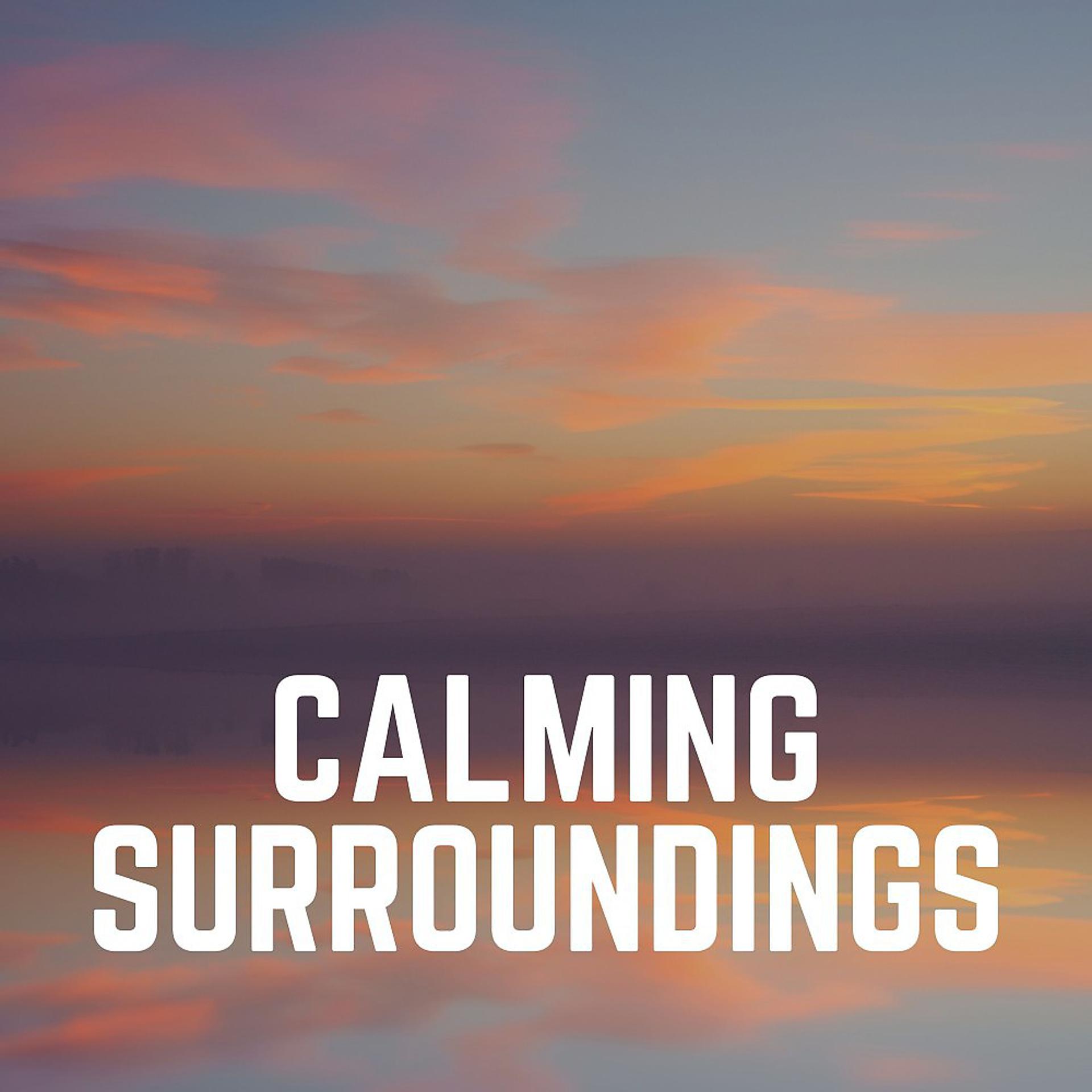 Постер альбома Calming Surroundings