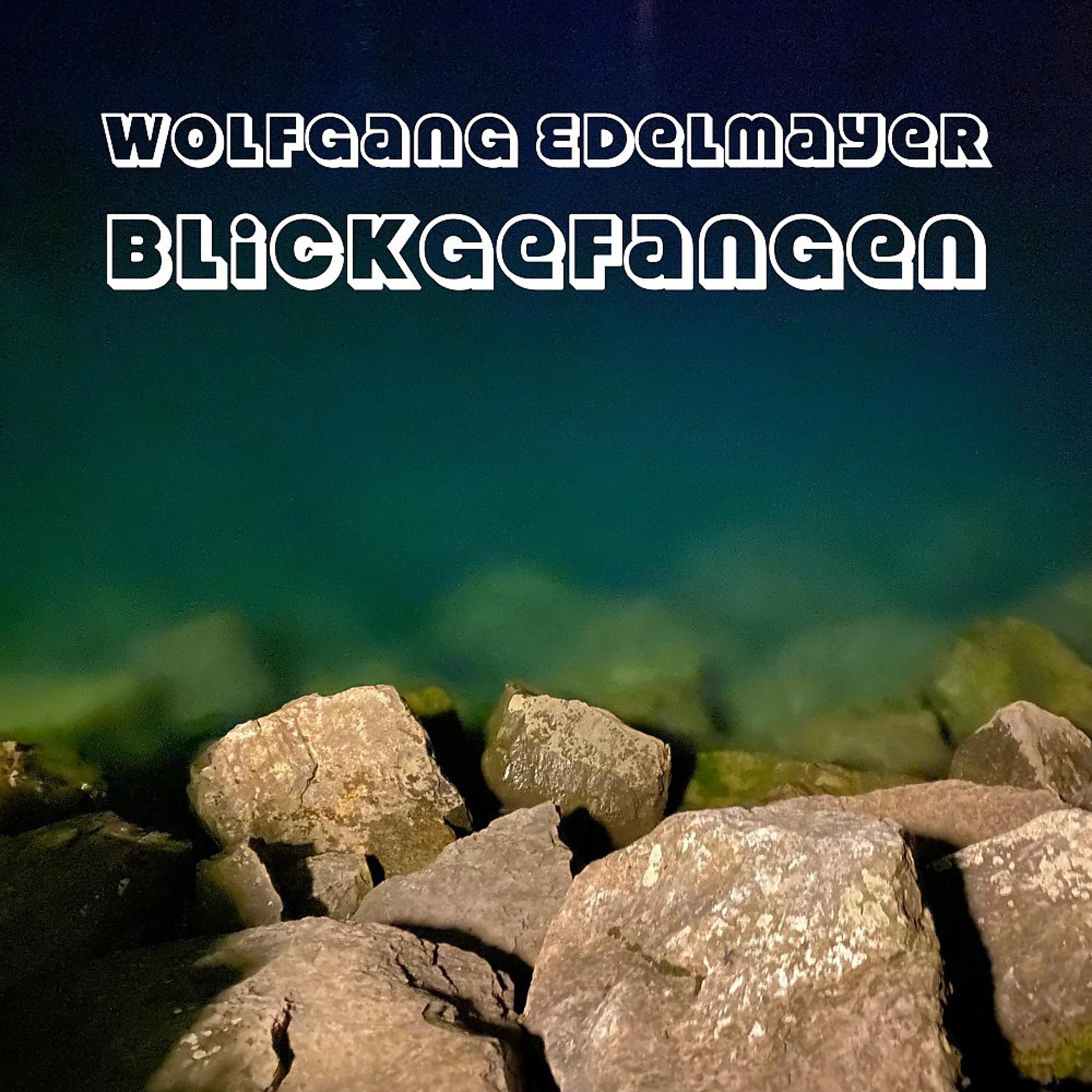Постер альбома Blickgefangen