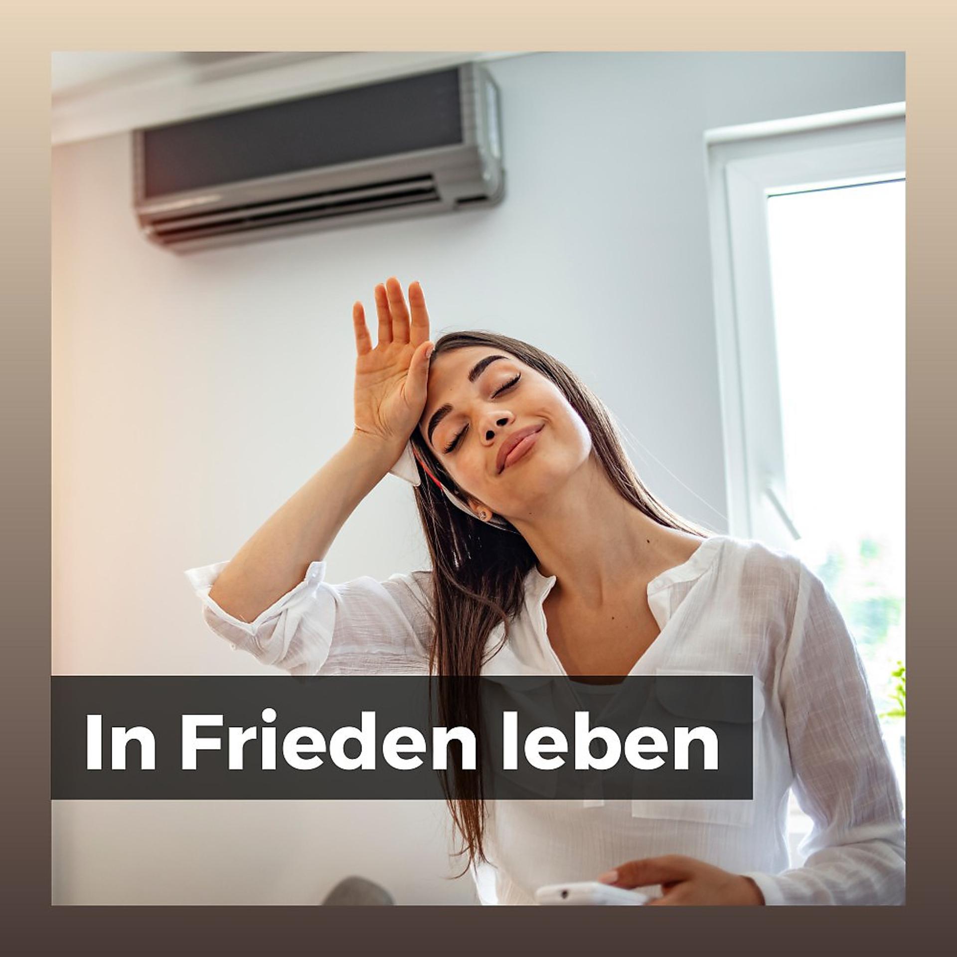 Постер альбома In Frieden leben