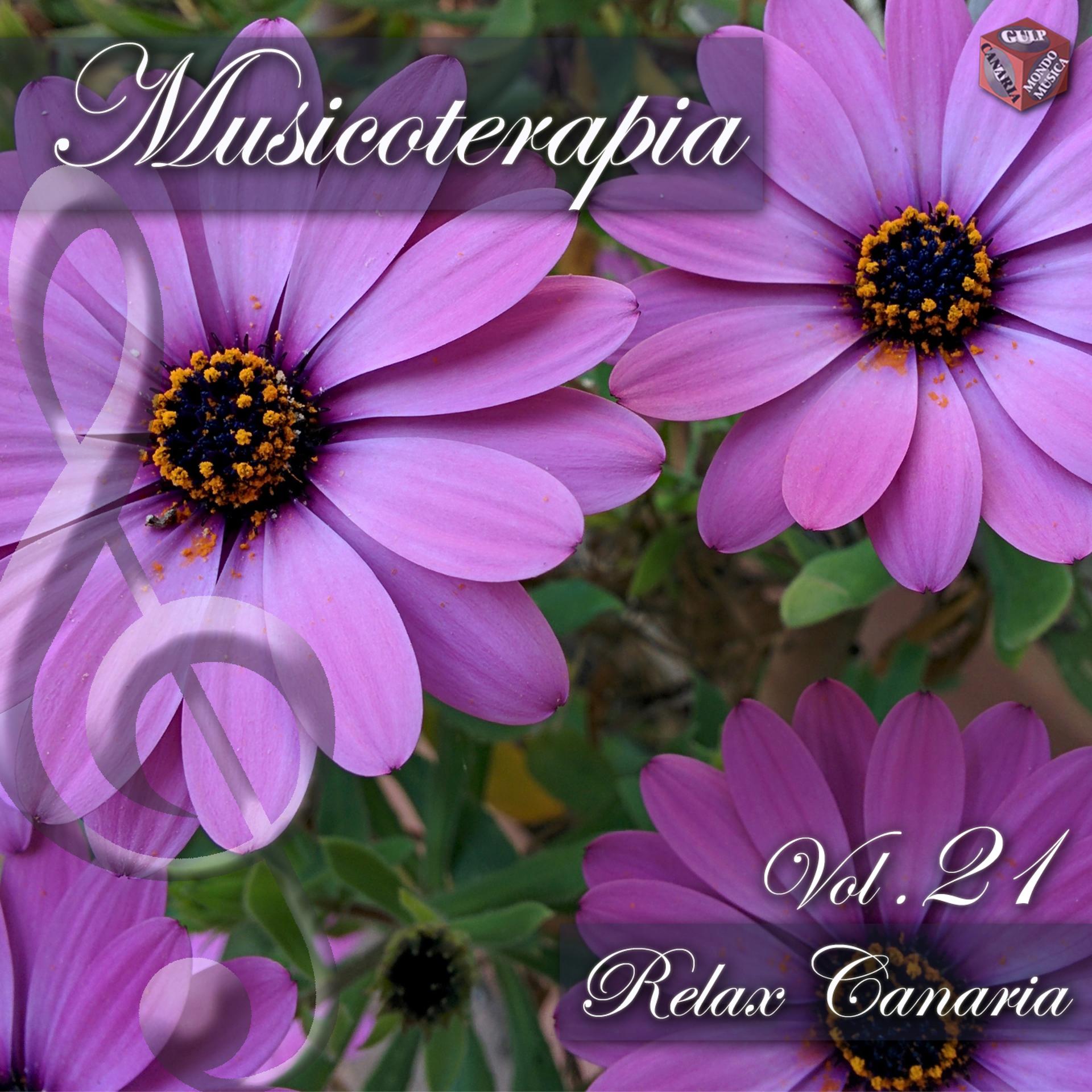 Постер альбома Musicoterapia, Vol. 21