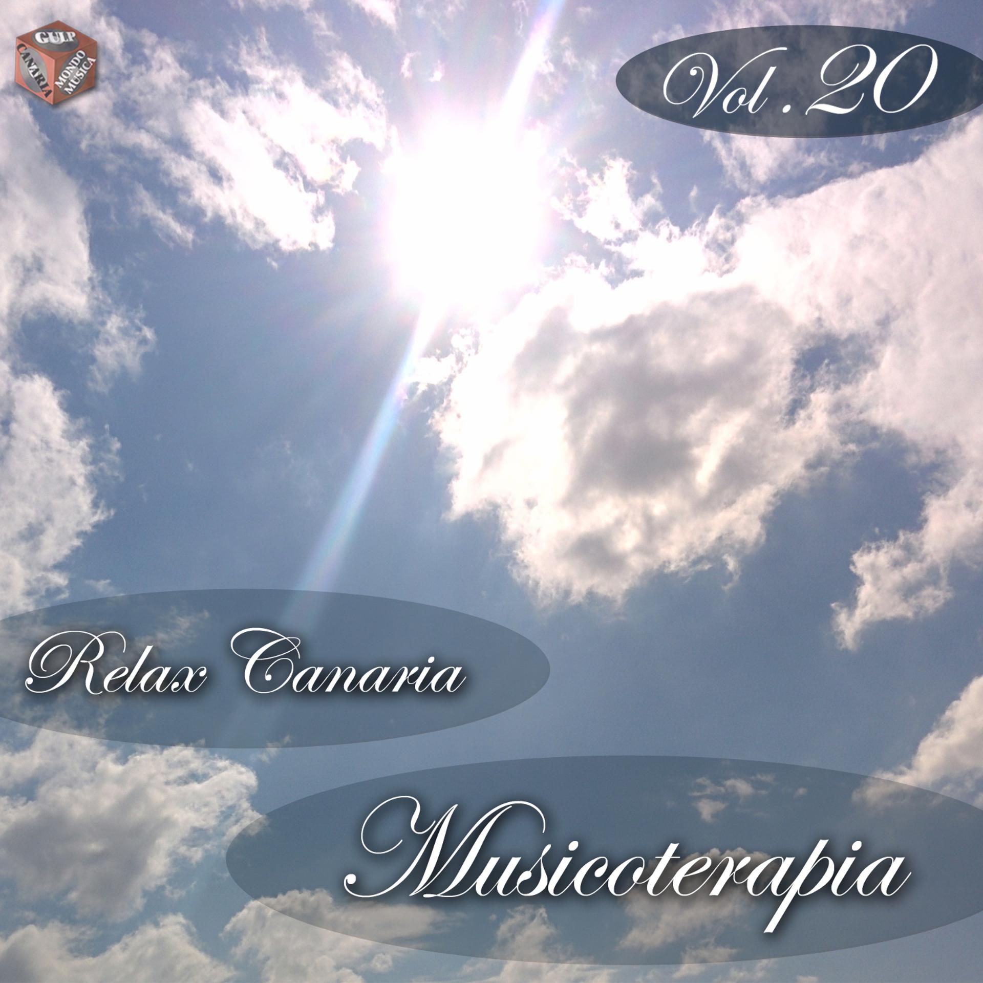 Постер альбома Musicoterapia, Vol. 20