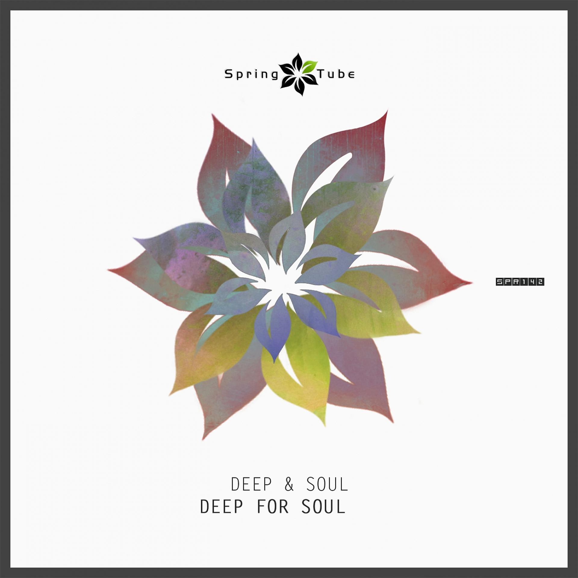 Постер альбома Deep for Soul