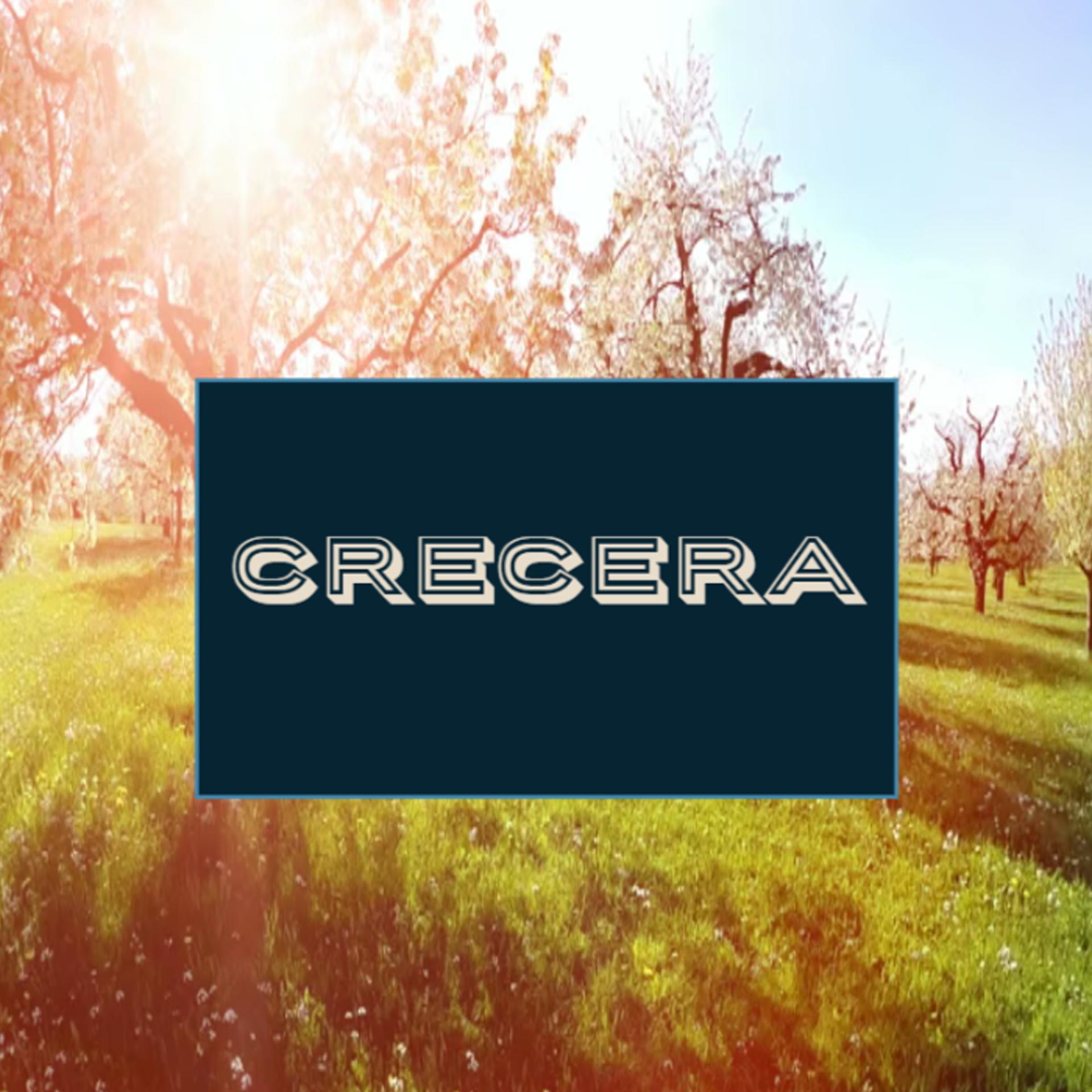 Постер альбома Crecera