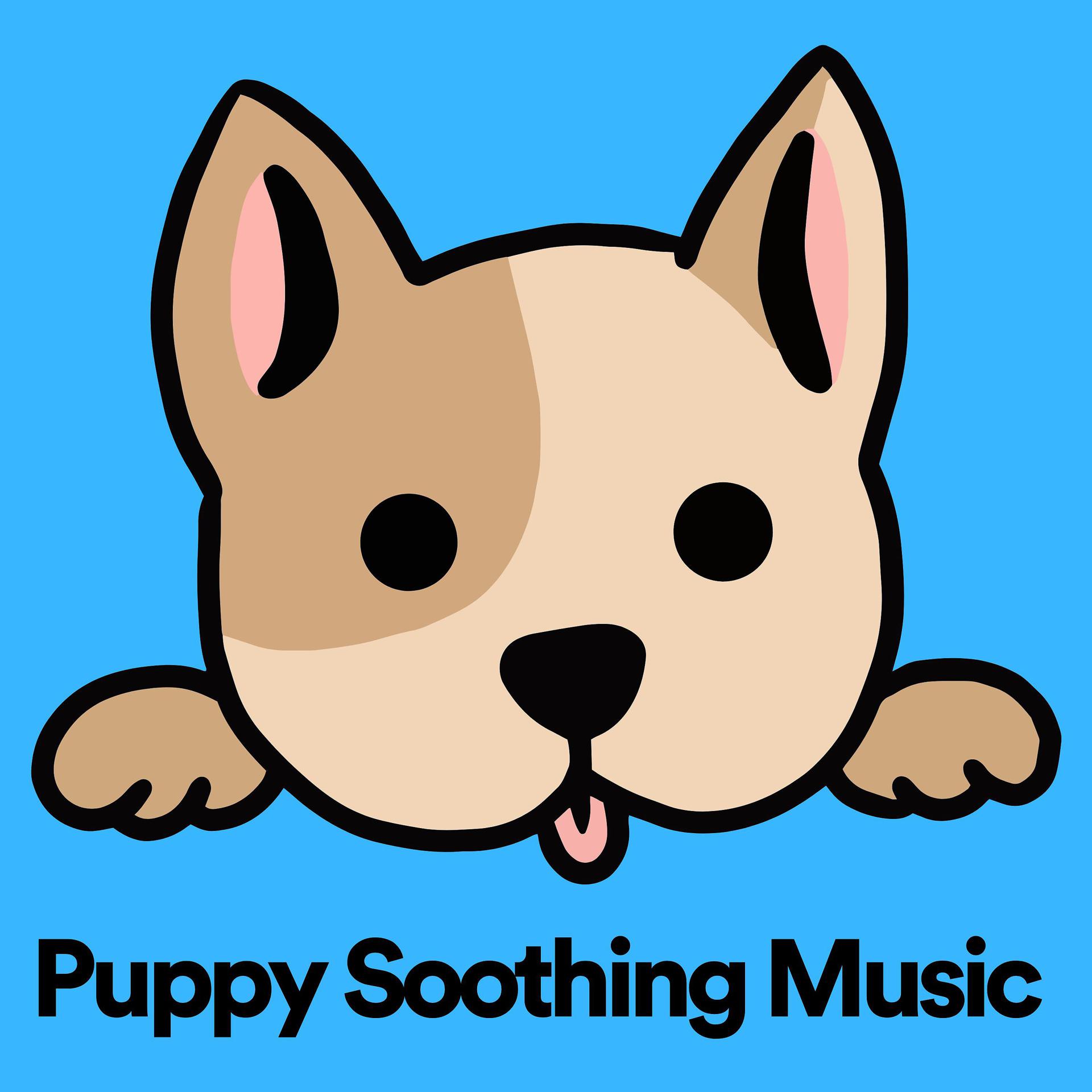 Постер альбома Puppy Soothing Music
