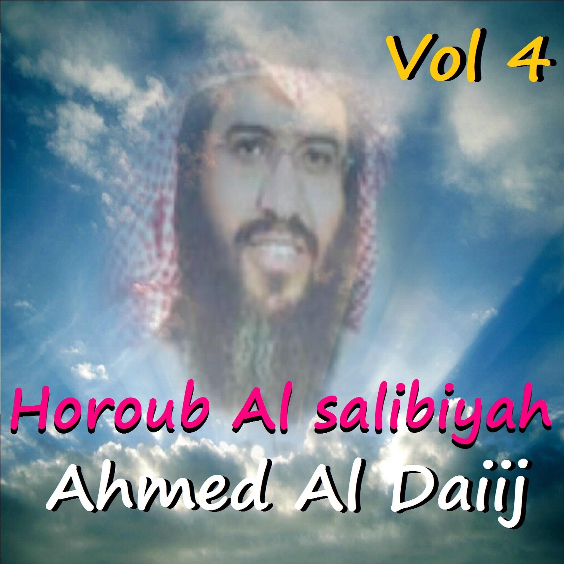 Постер альбома Horoub Al Salibiyah Vol. 4