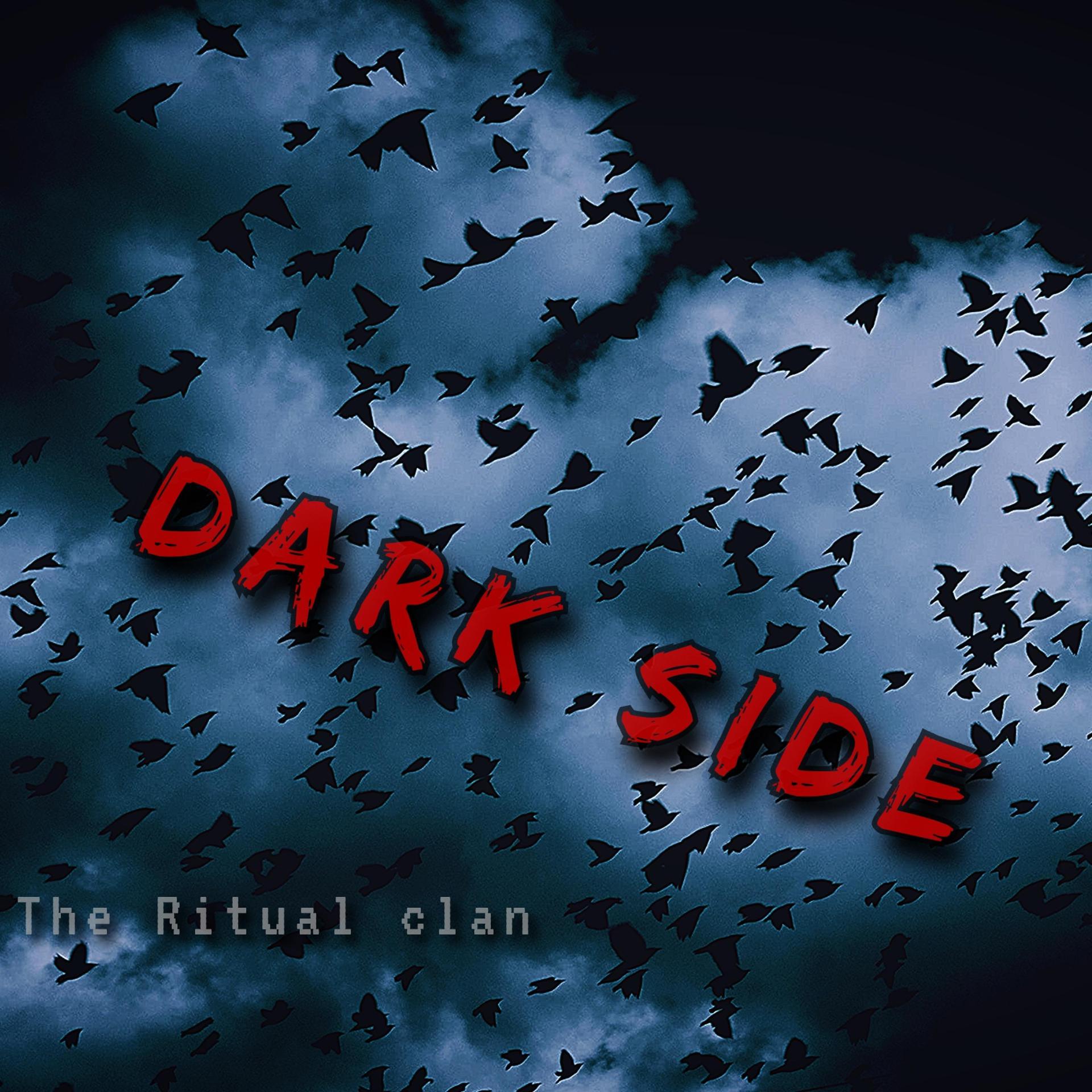 Постер альбома Dark Side 