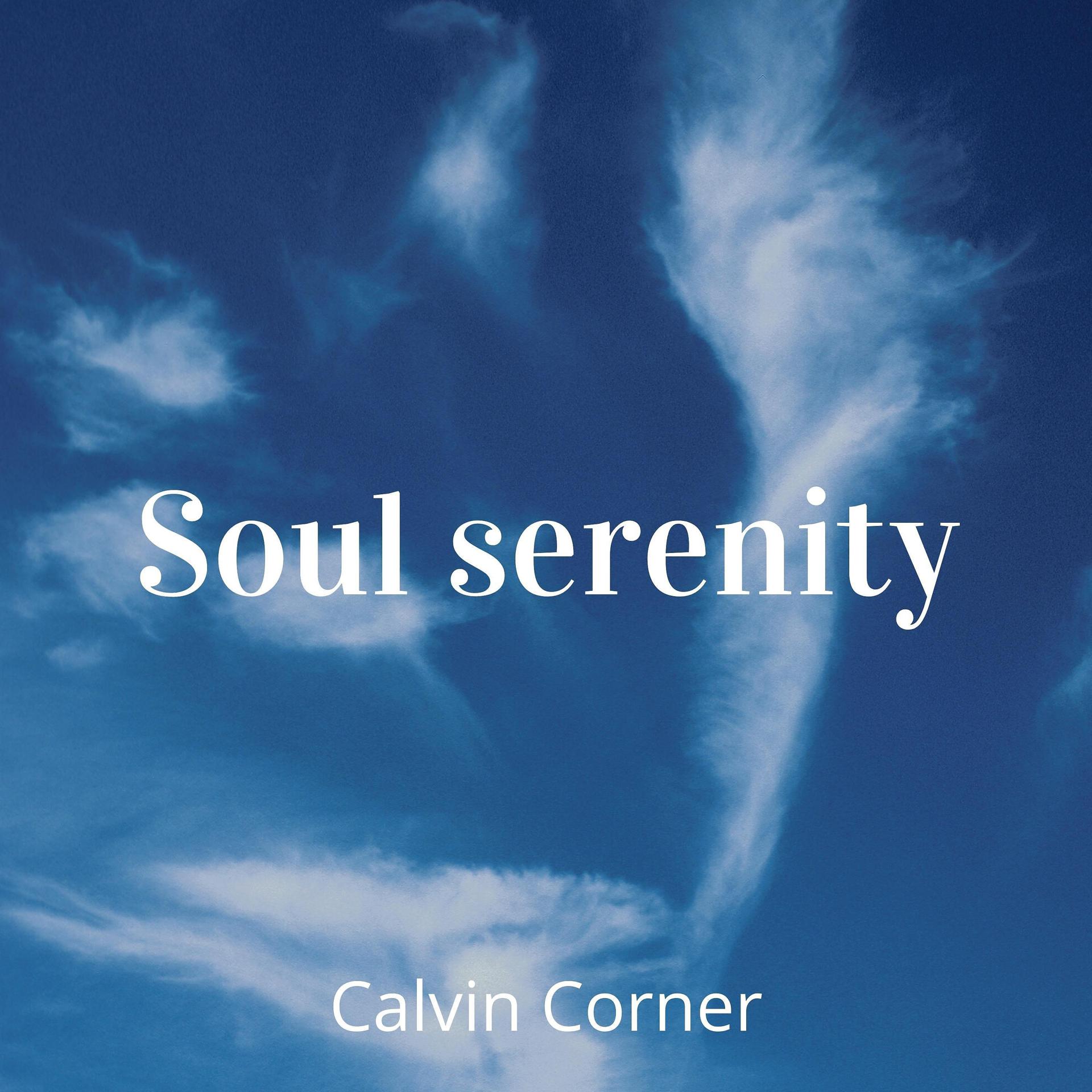 Постер альбома Soul Serenity