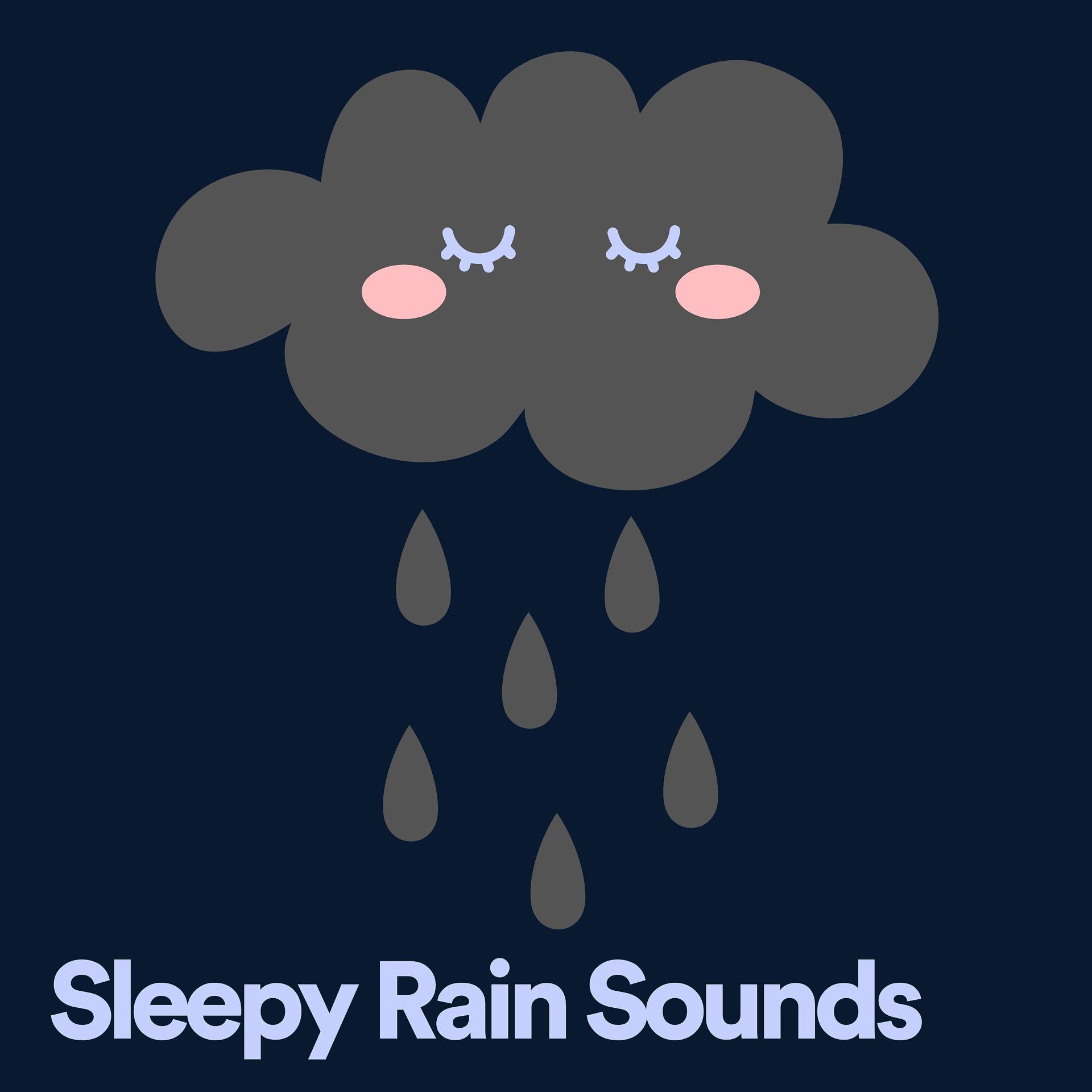 Постер альбома Sleepy Rain Sounds