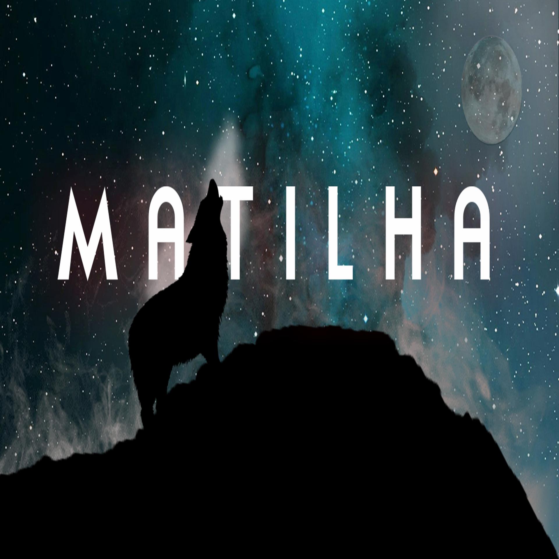Постер альбома Matilha