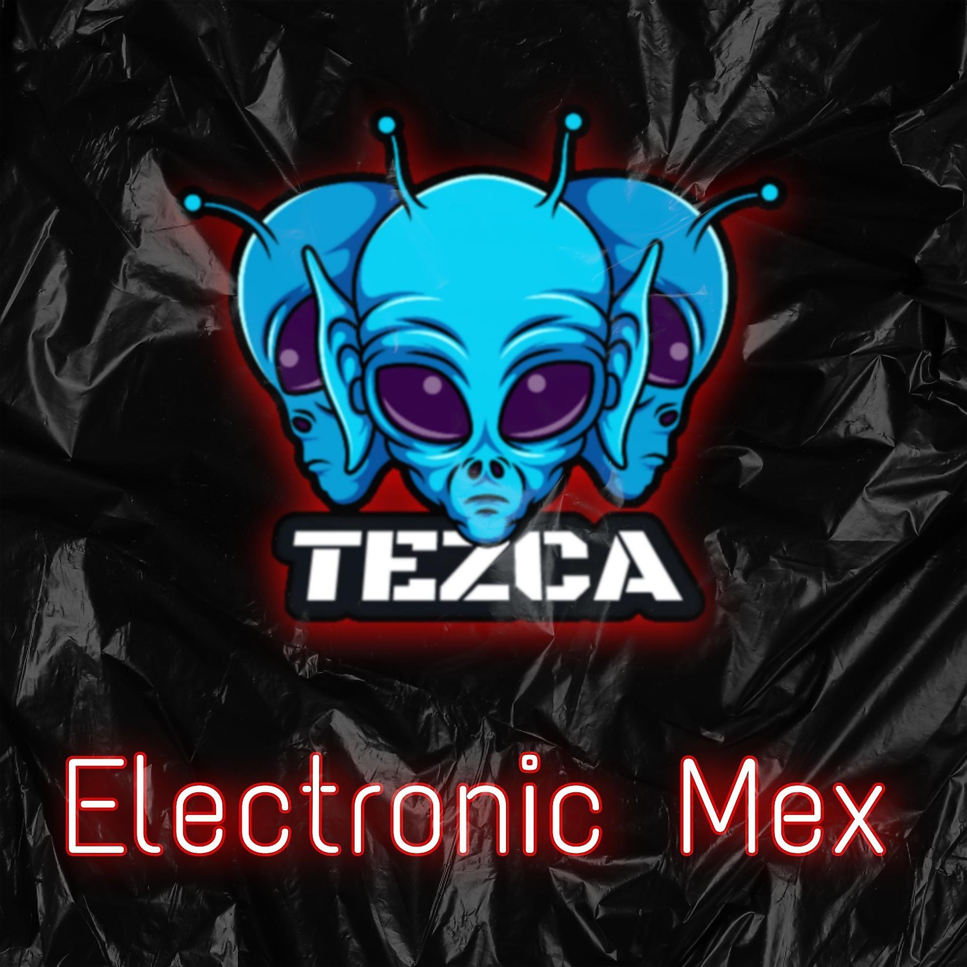 Постер альбома Electronic Mex