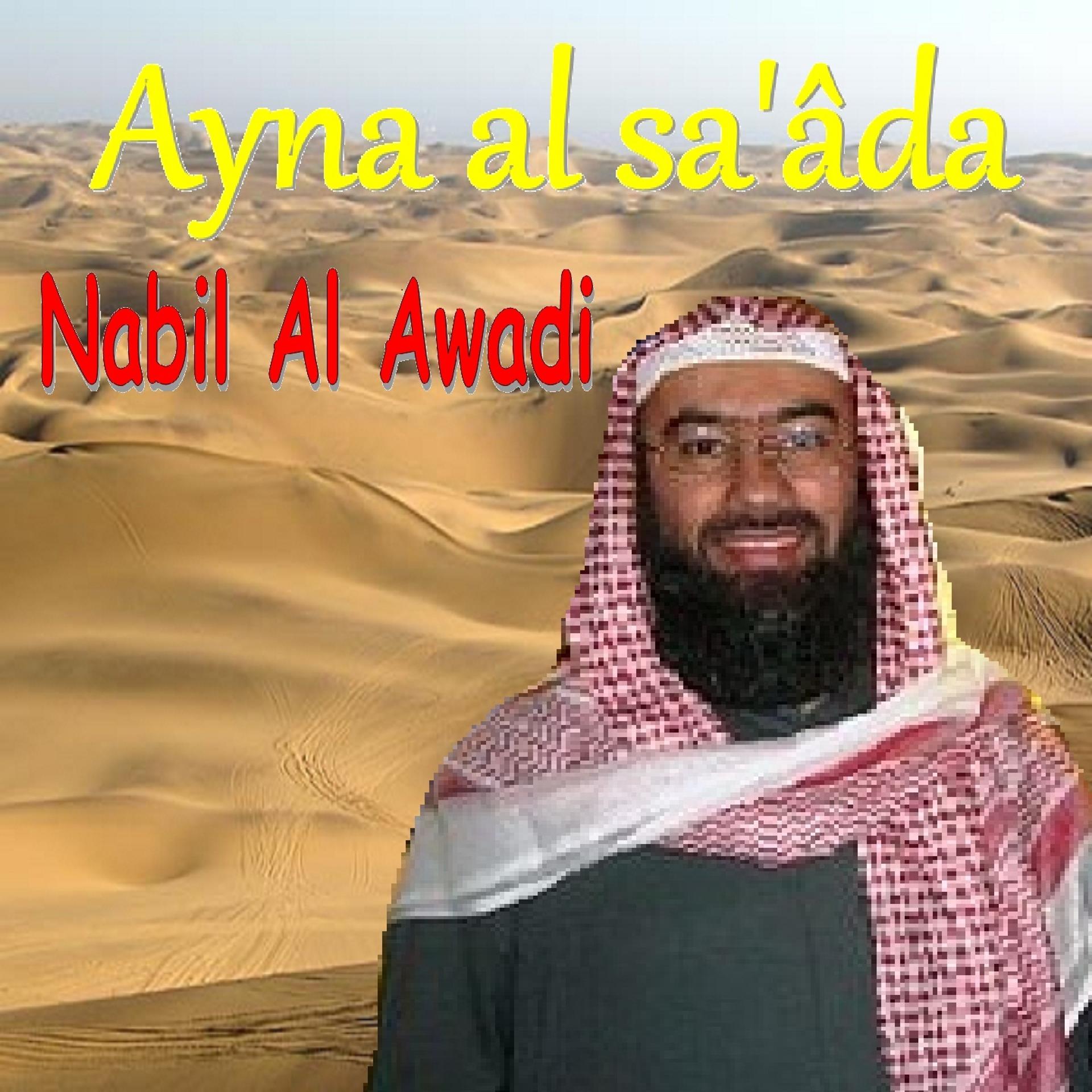 Постер альбома Ayna Al Sa'Âda