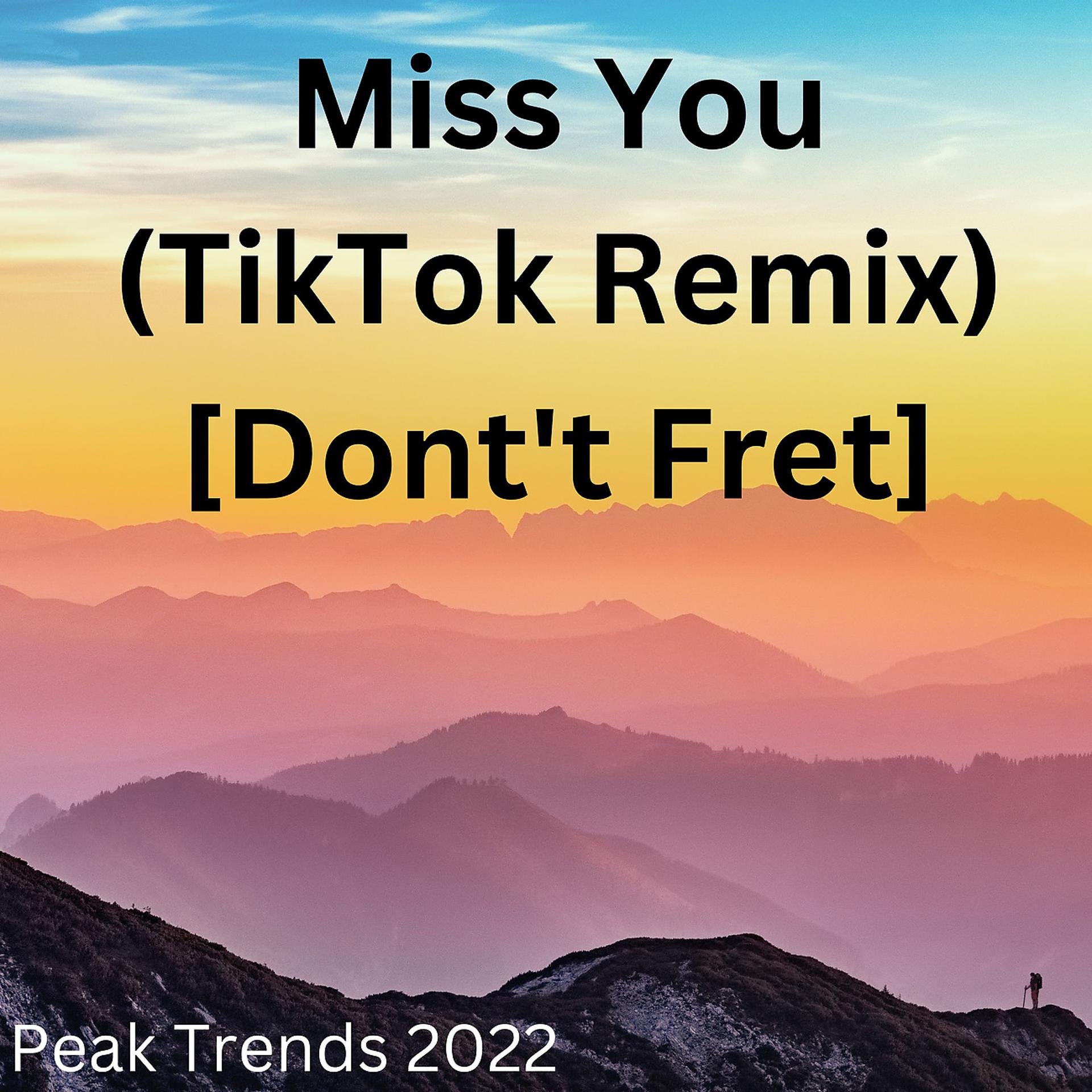 Постер альбома Miss You (TikTok Remix) [Dont't Fret]