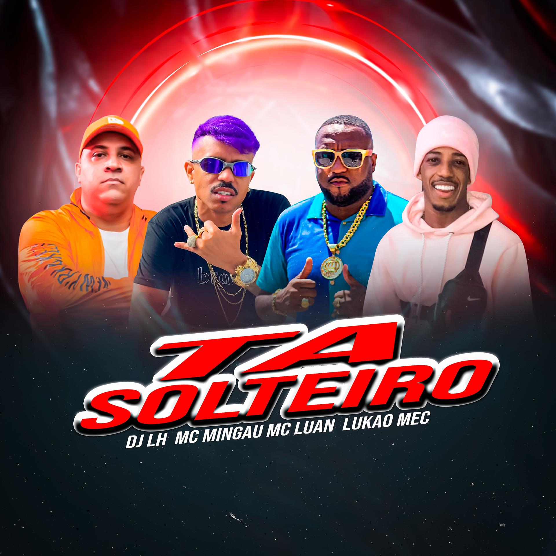 Постер альбома Ta Solteiro