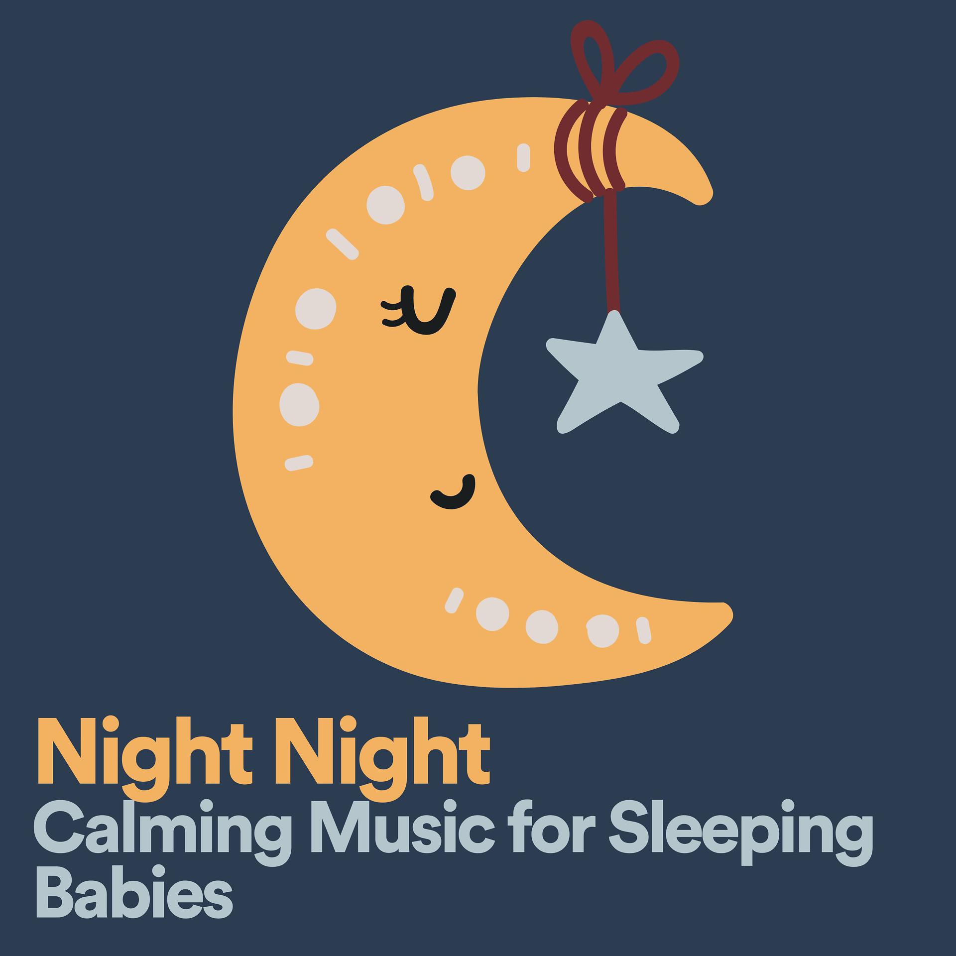 Постер альбома Night Night Calming Music for Sleeping Babies